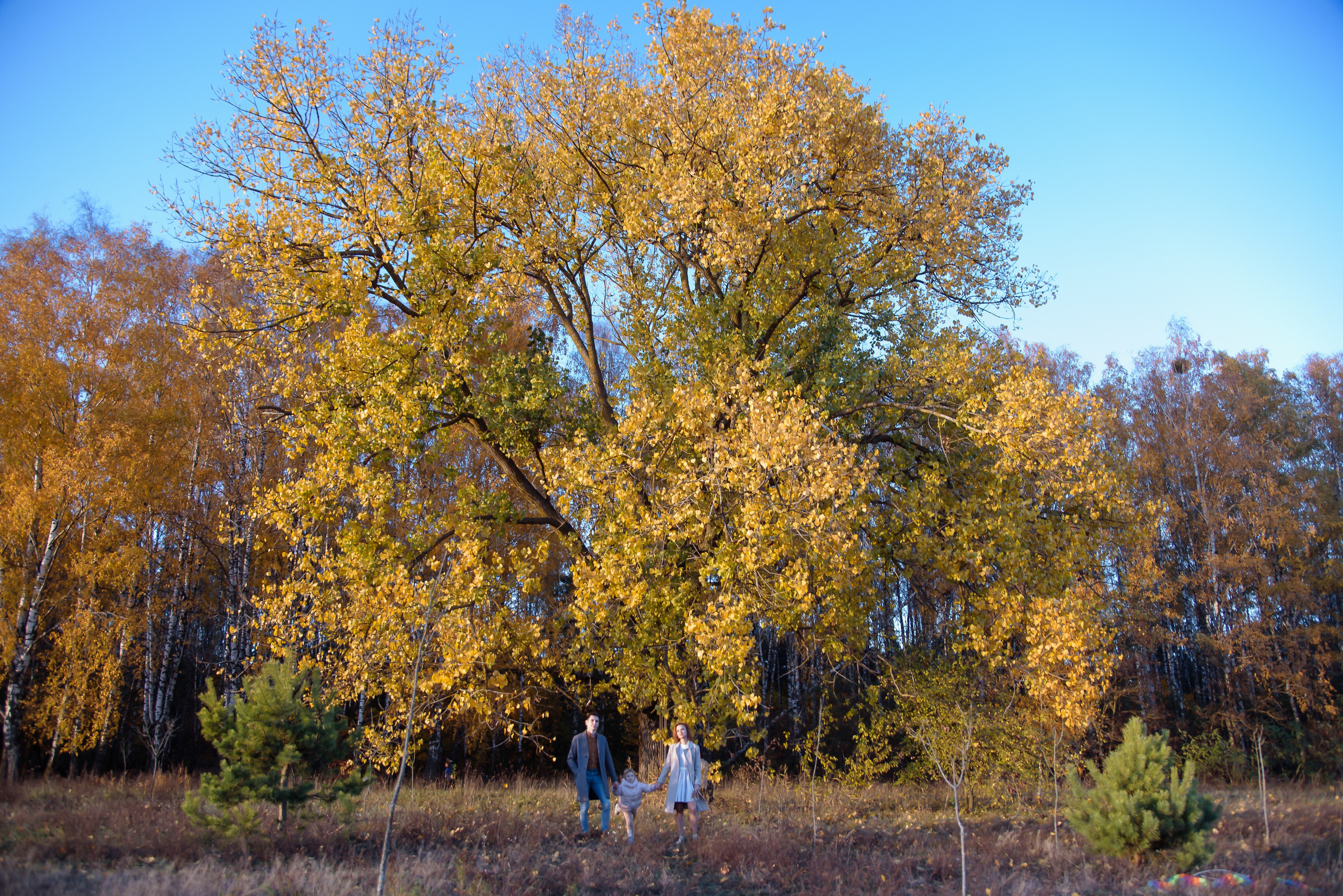 Розовая свадьба 10 лет. Фотограф Олег Юршевич Солигорск Минск