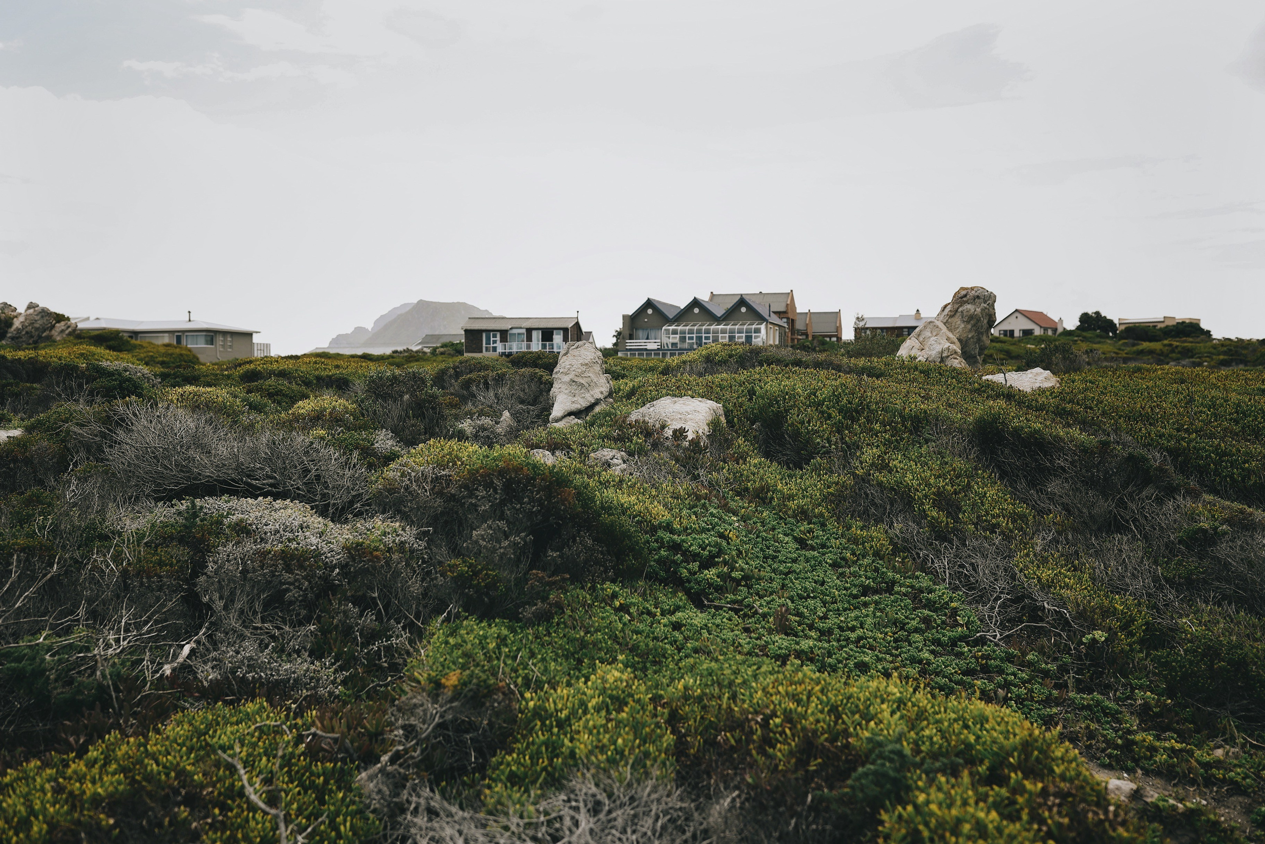 South Africa. Ekaterina Buneeva Photography