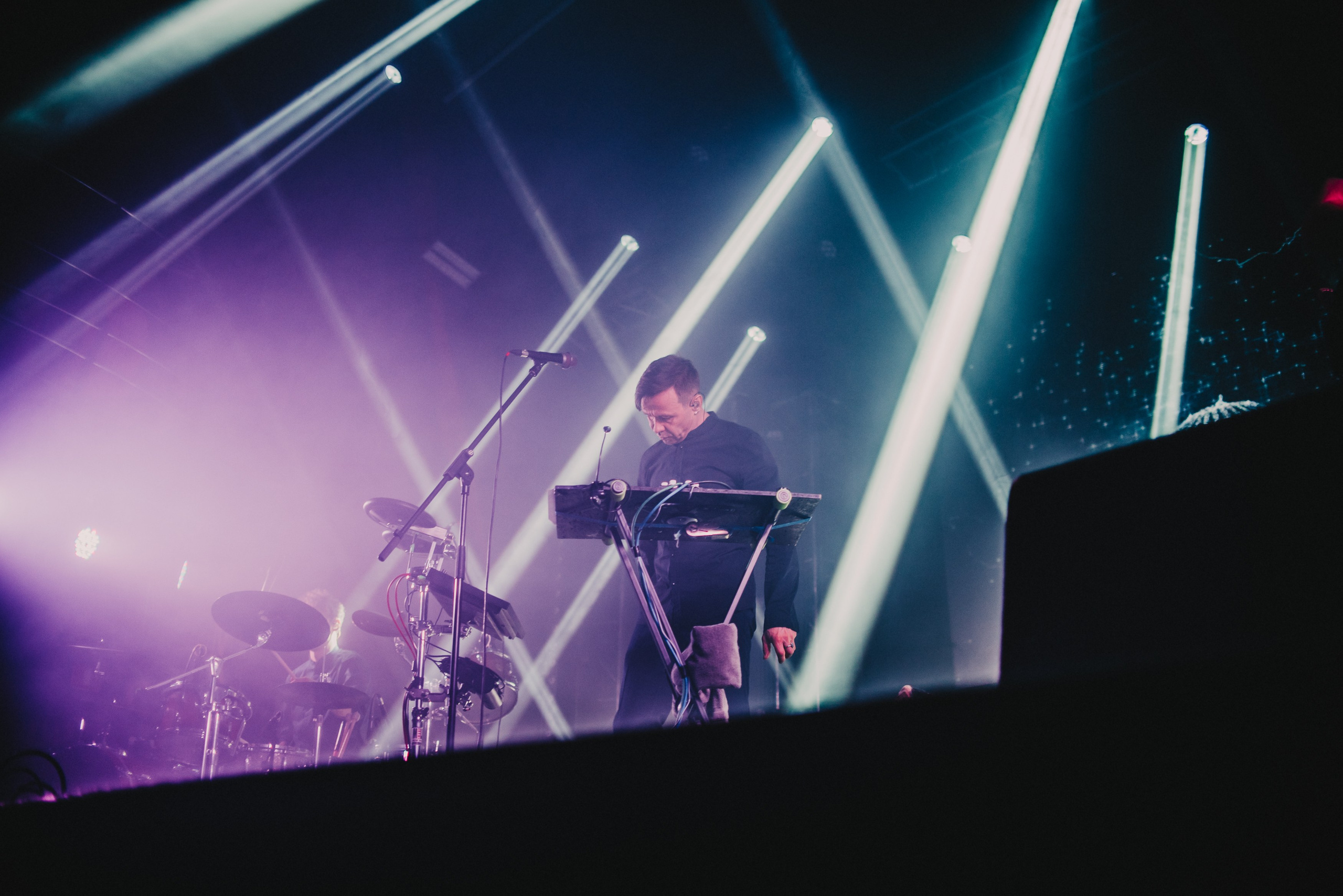 Дельфин | Gaudi. Контент фотограф Илья Урс