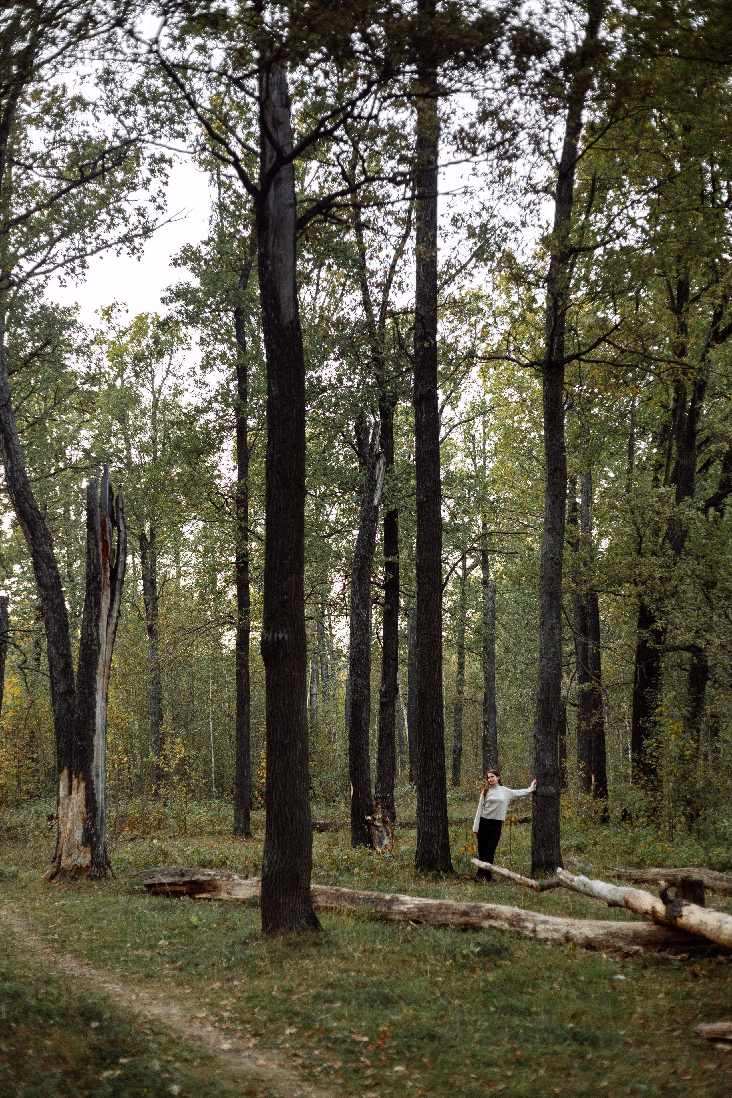 Дарья К. Фотограф в Нижнем Новгороде Александр Хамов