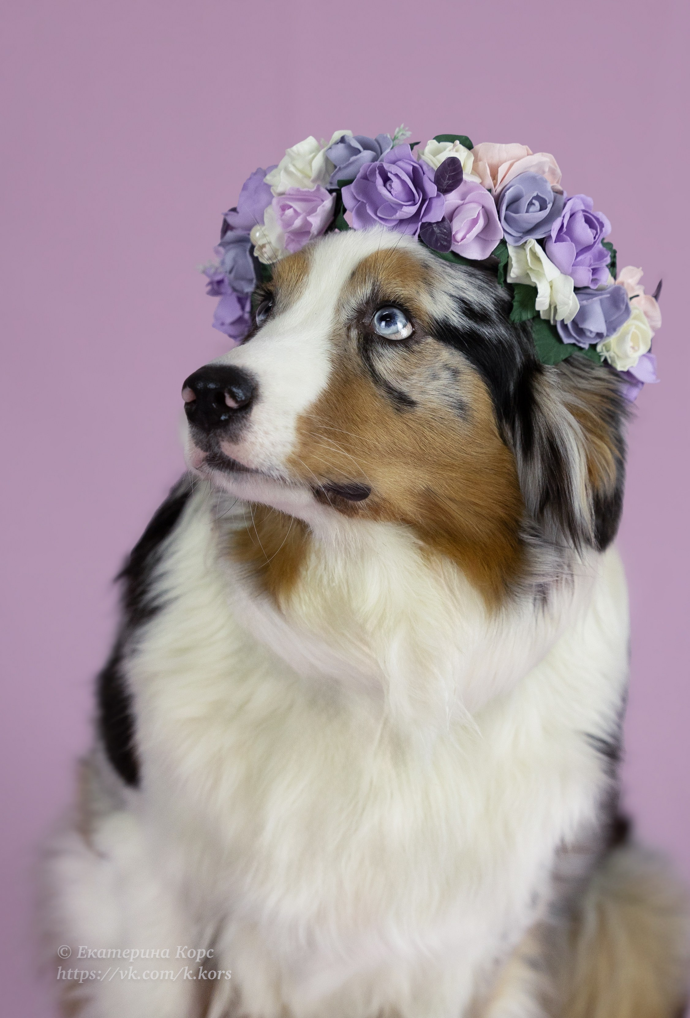 Студия. Главная