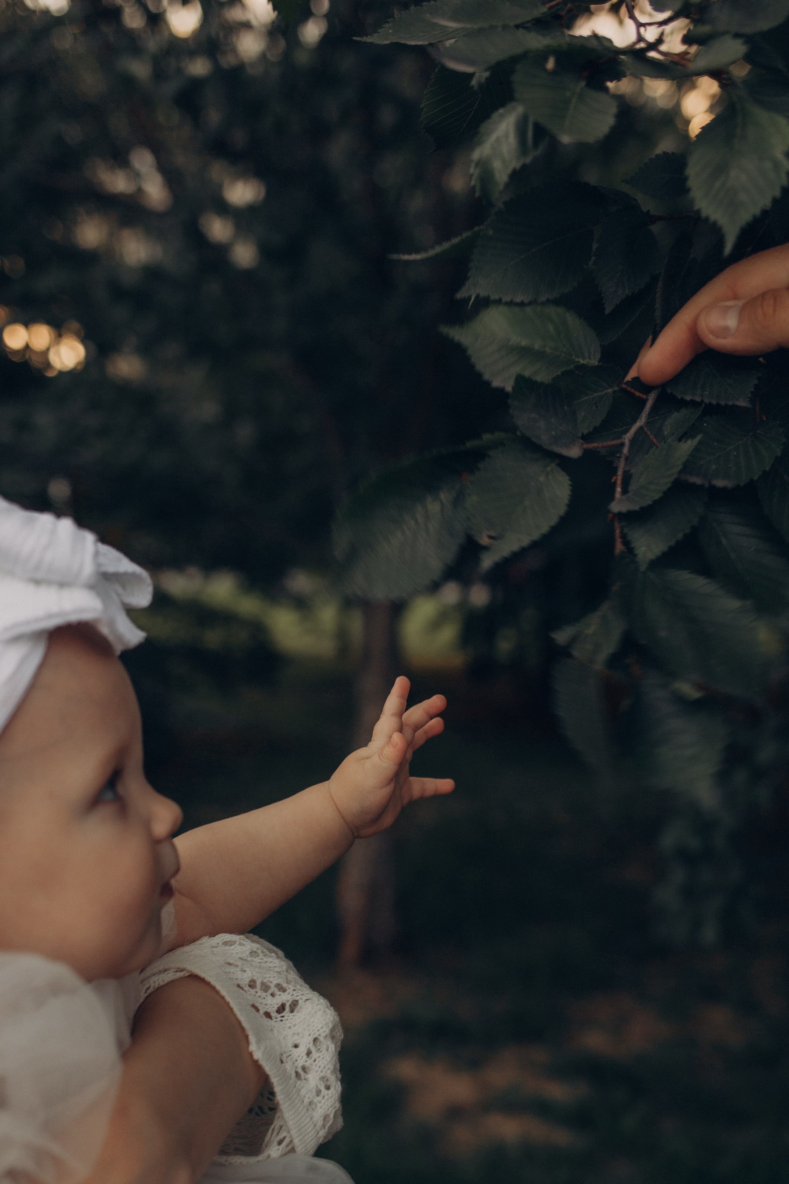 LIFE и домашние съемки. Фотограф на первый годик, семейный и детский фотограф в Новосибирске