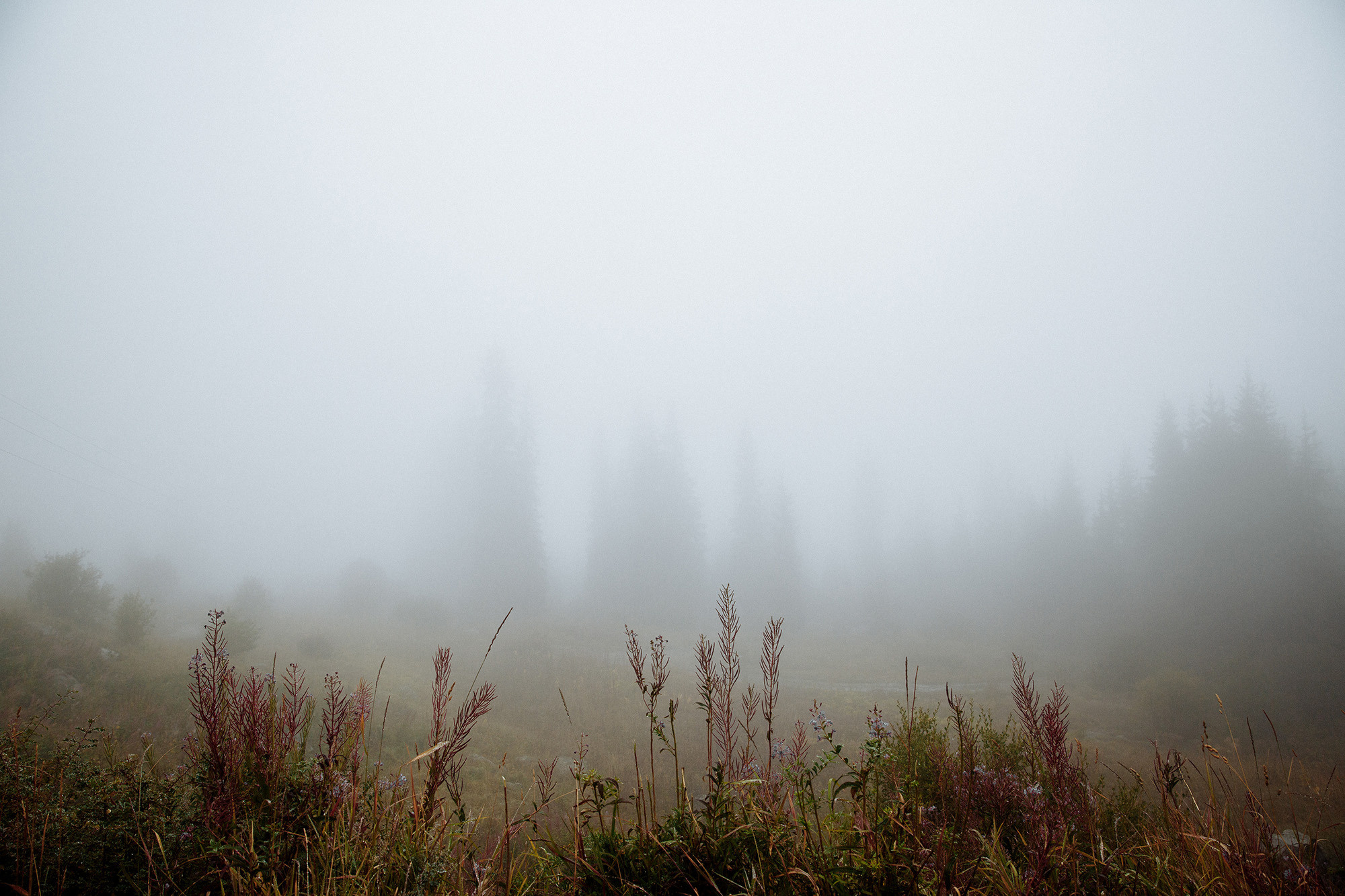 Нурлан и Кристи. Алматы. Свадебный фотограф в Алматы Николай Киреев