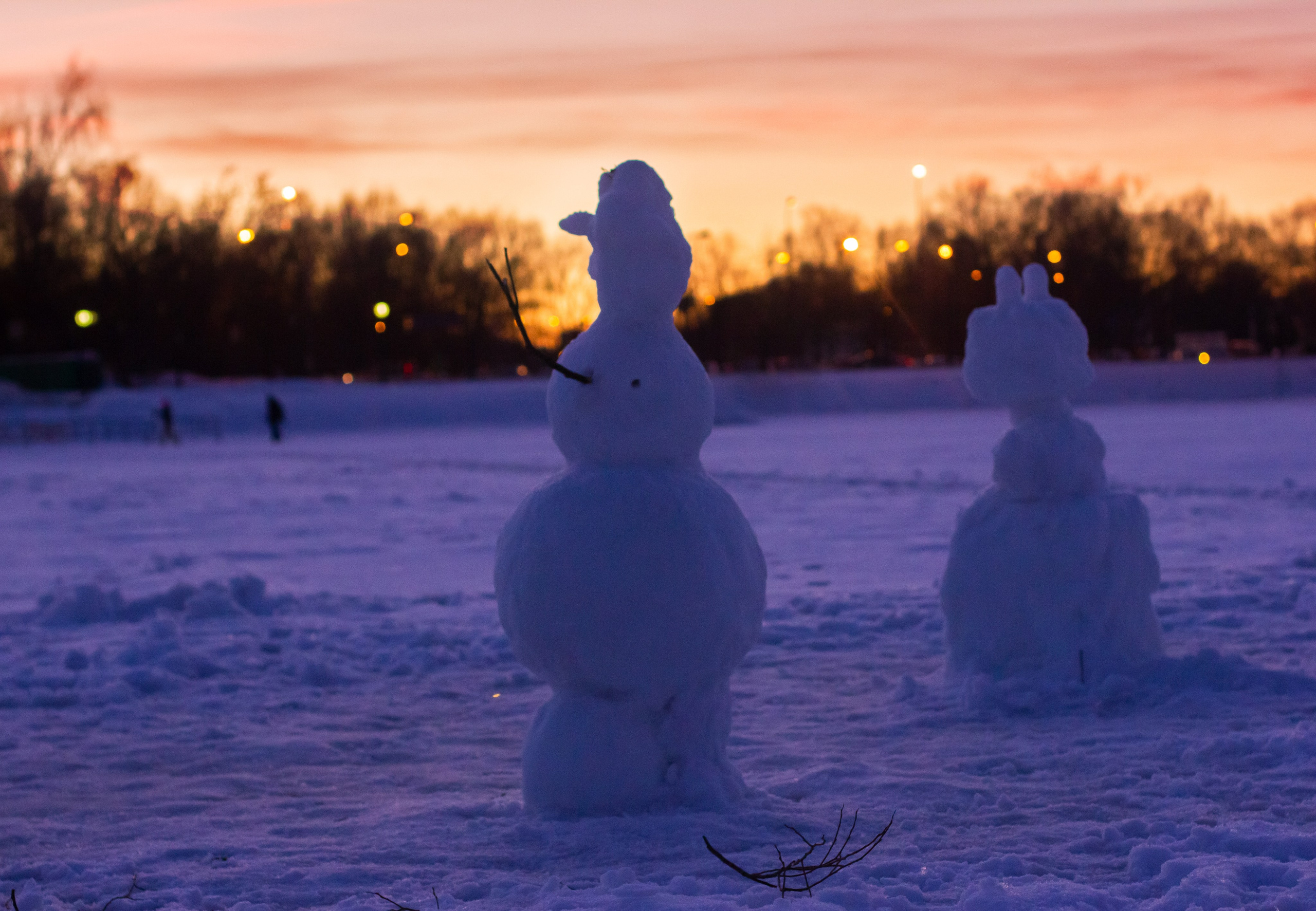 Фотокартины. Семейный фотограф Ирина Ильиных-Вольная в Москве и не только