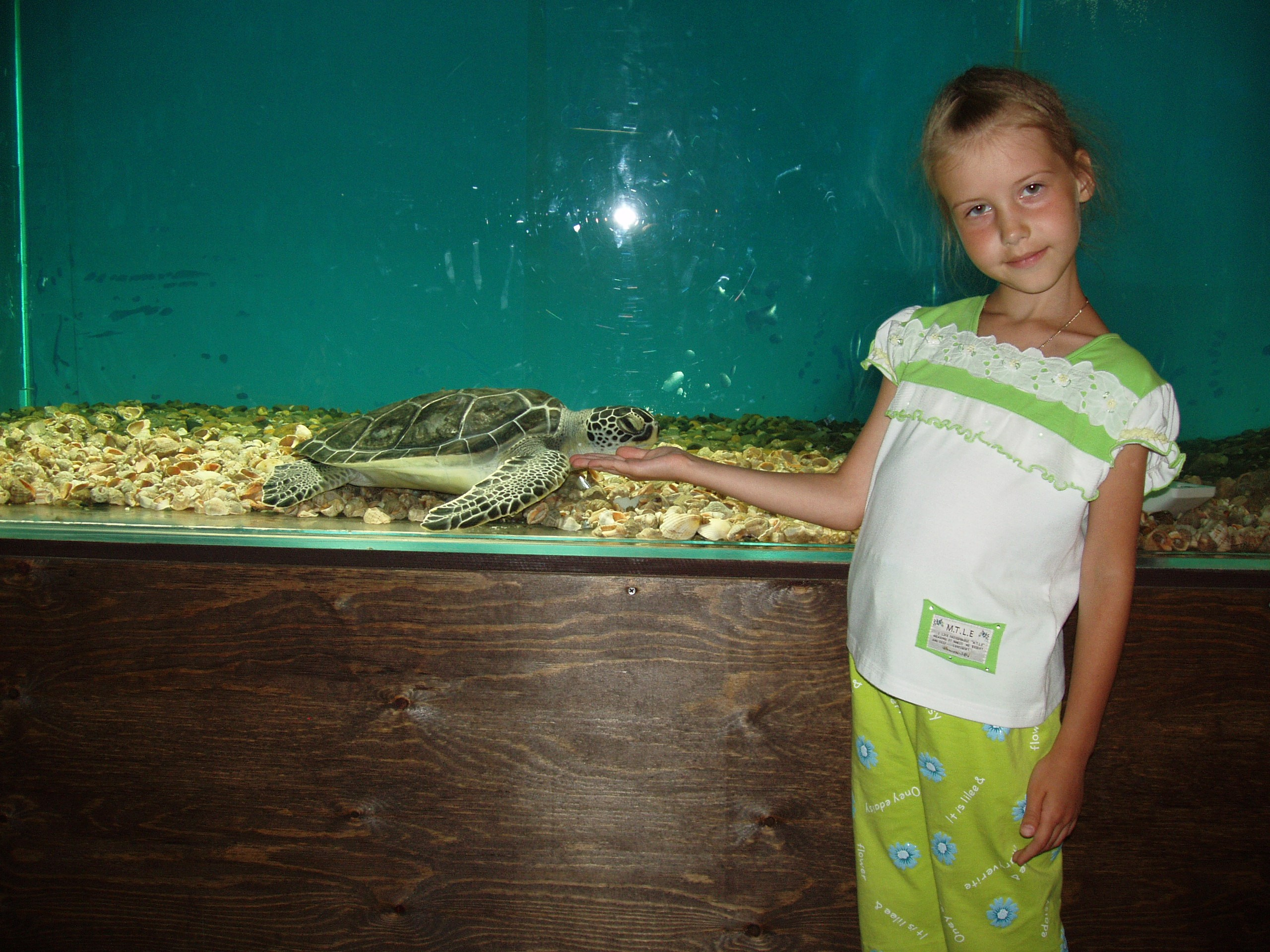 Отпуск 13.07-24.08. Семейный, Свадебный фотограф СПБ Питер— Романова Екатерина