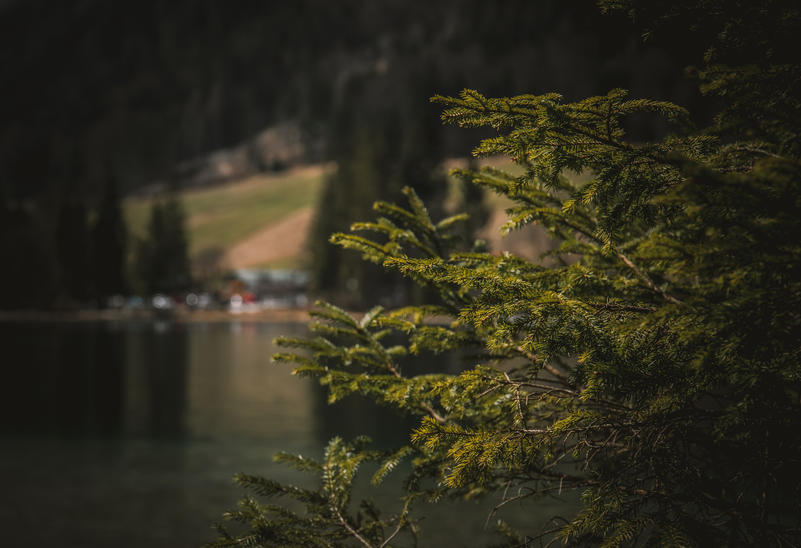 TRAVEL&NATURE. NE Cinema — backstage and reportage photography in cinema, music, Automotive and sport