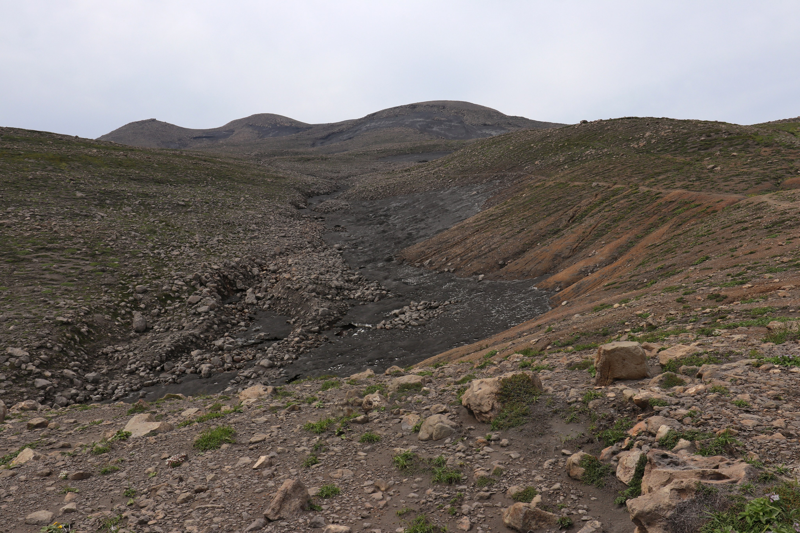 Камчатка и о. Парамушир. Июль 2024. Путешественник-фотограф из Санкт-Петербурга Татьяна Свистулина