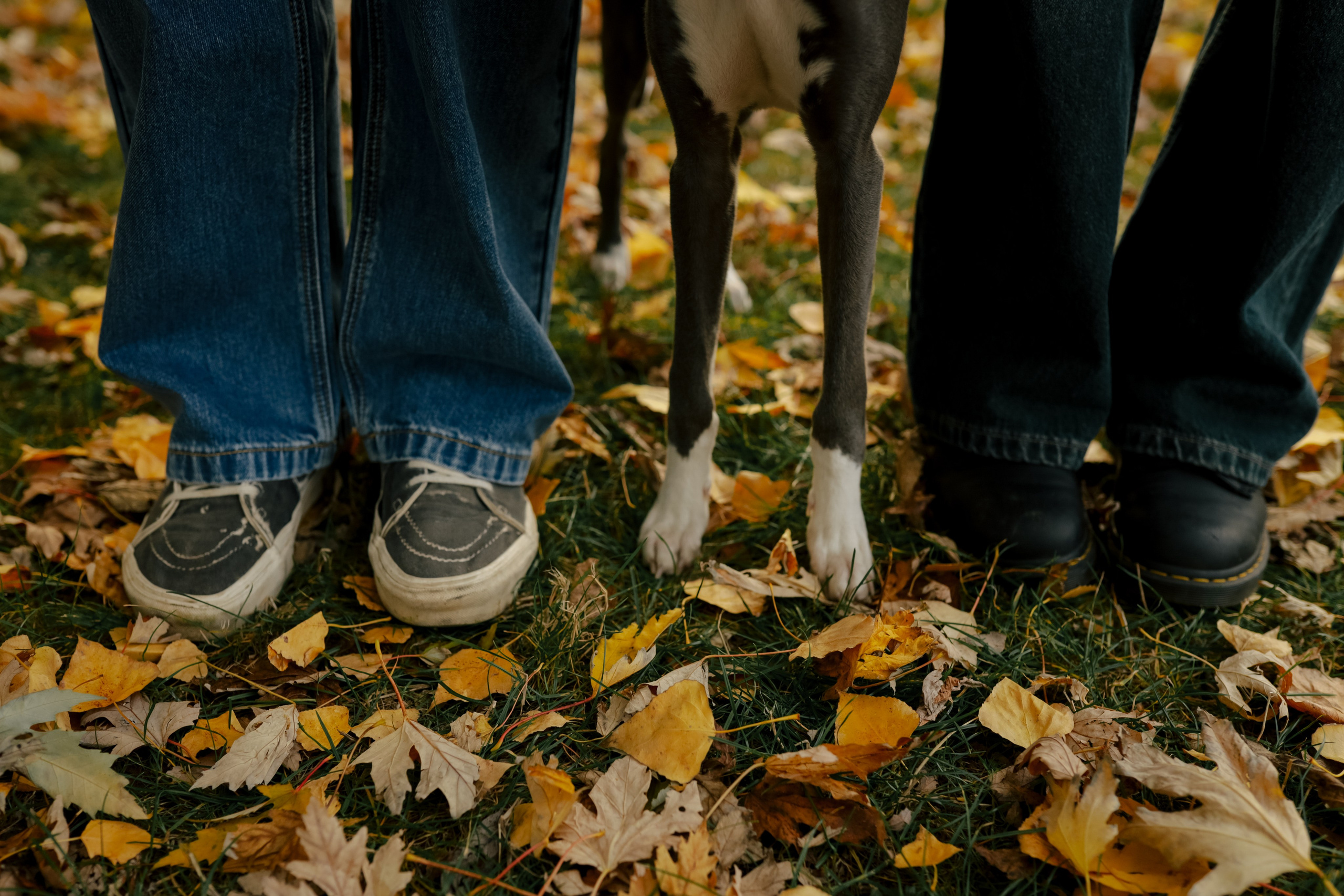 Первая осень Йотуна. Свадебный и семейный фотограф в Варшаве