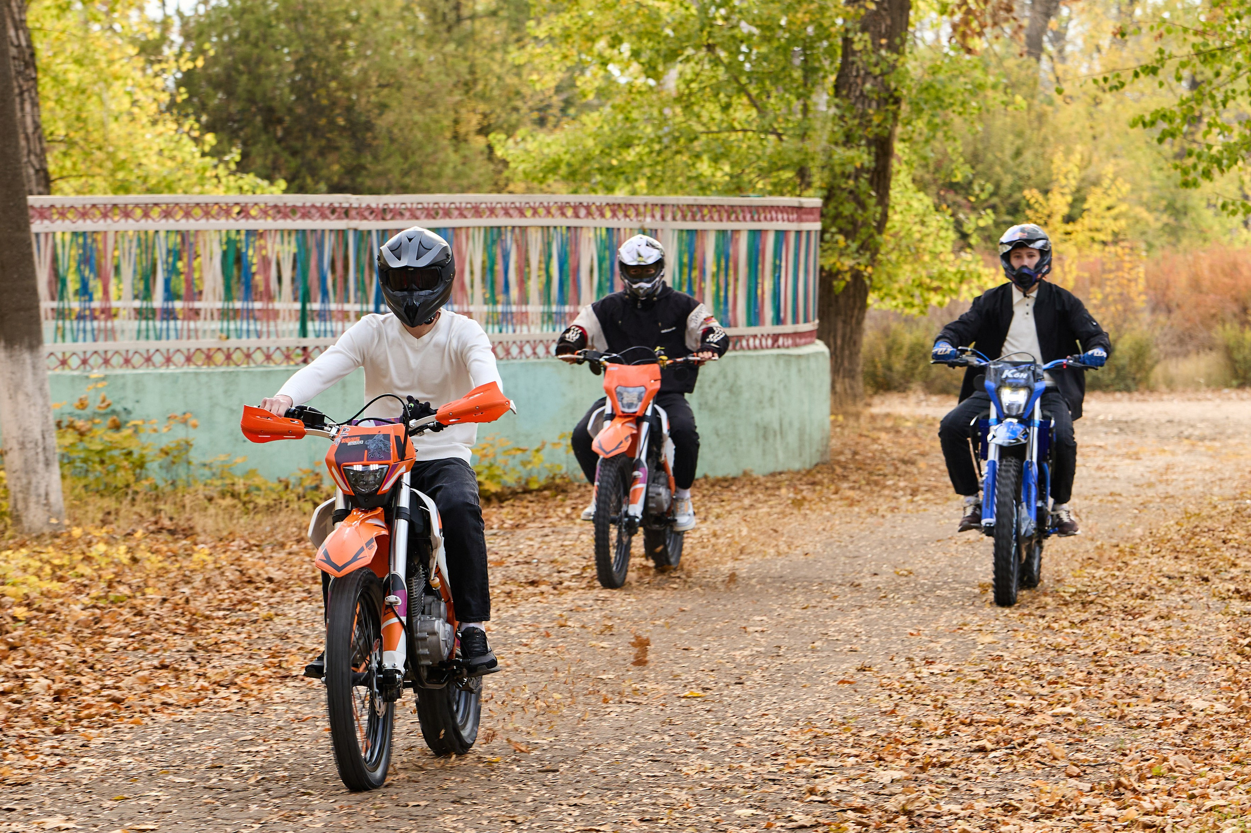 ШКОЛЬНИКИ. АМВРОСИЕВКА. ПАРК. Фотограф Татаринов Андрей (Донецк / Макеевка)