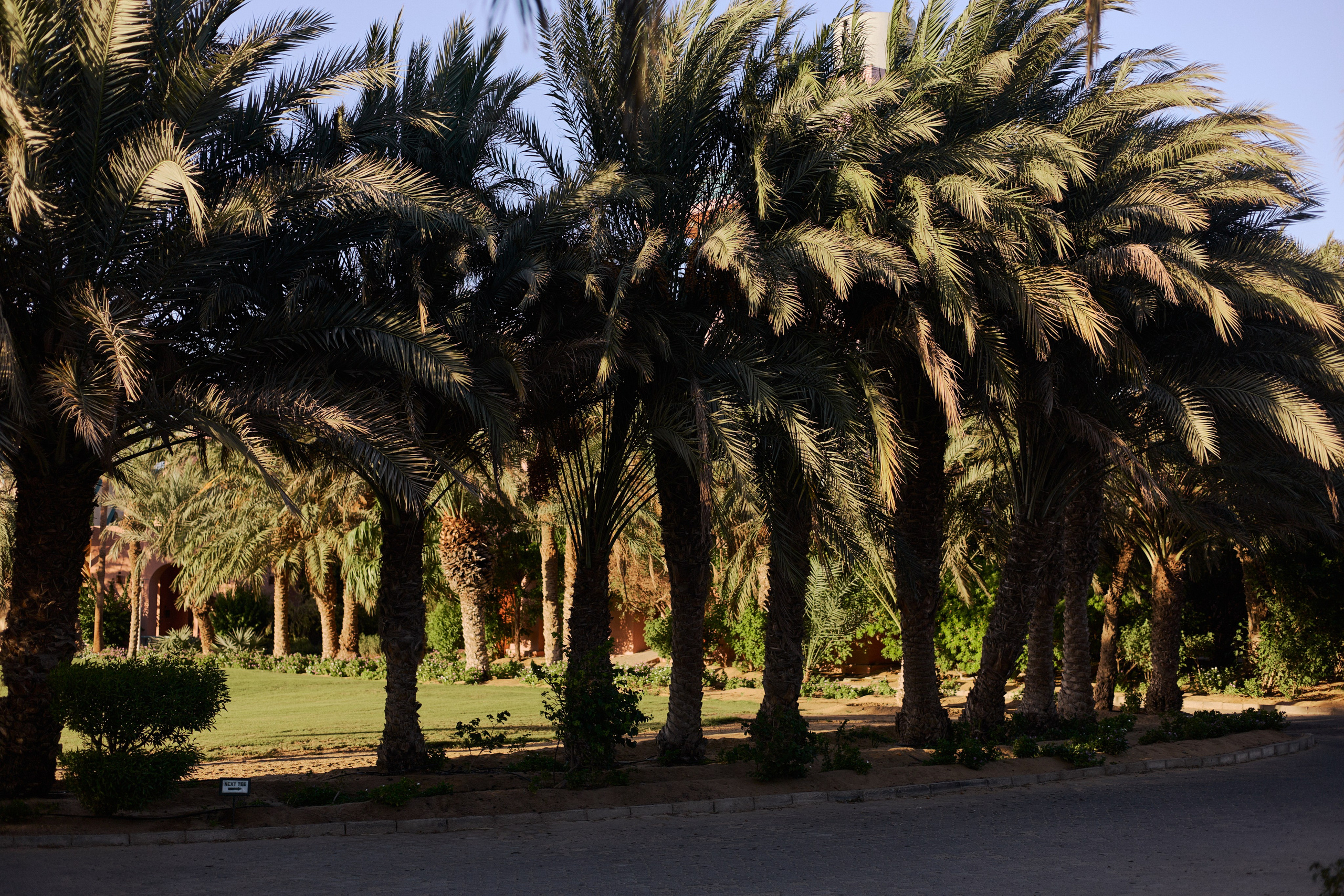 Другое 3. Jorgis Talè — photographer, kind person, teacher of arts and other mag