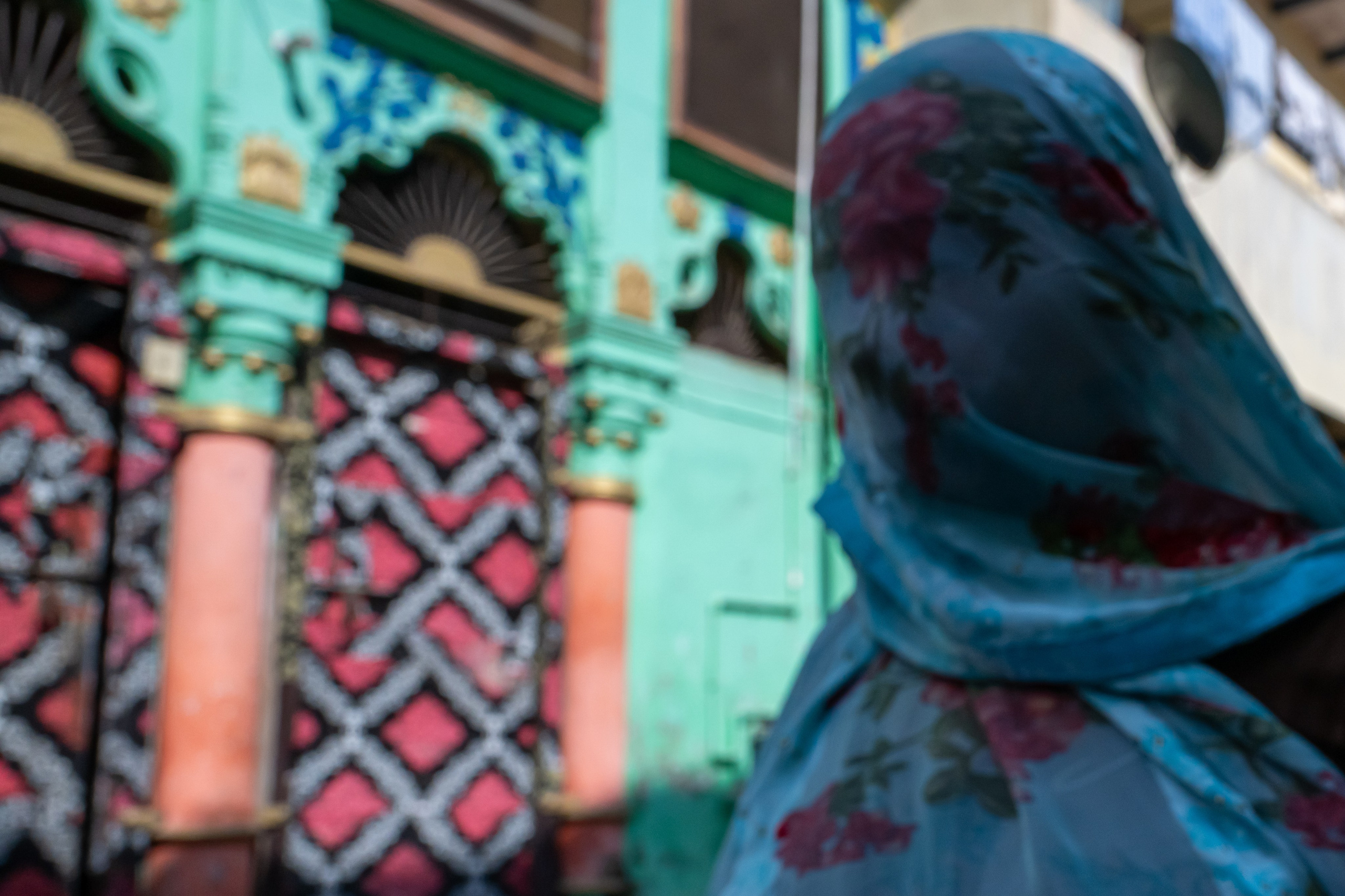 India 2024-2025. Dimitri Bakhtadze photographer