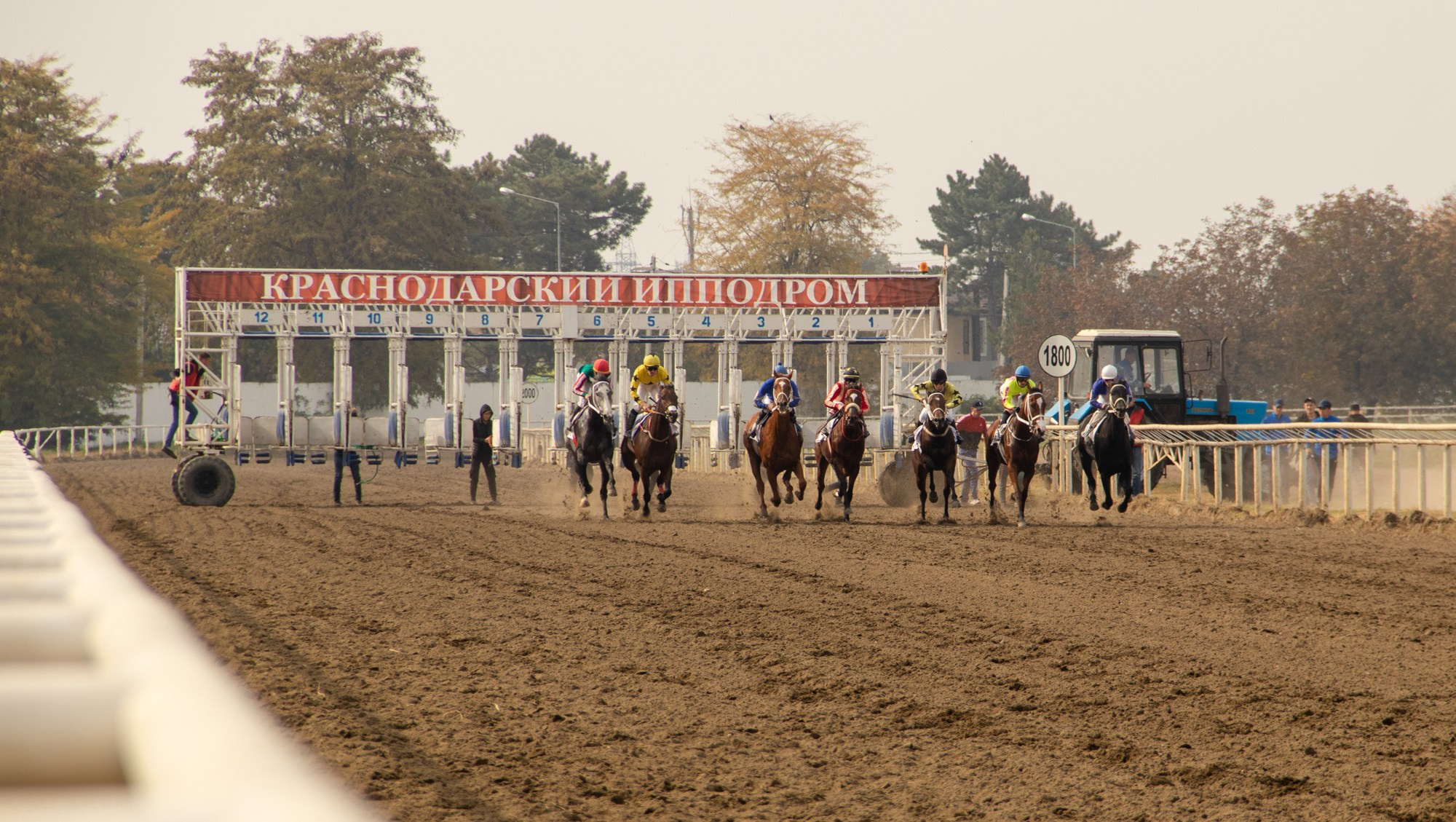 Закрытие скакового сезона на Краснодарском ипподроме. Репортажный, промышленный и маркетплейс-фотограф Дмитрий Чернат