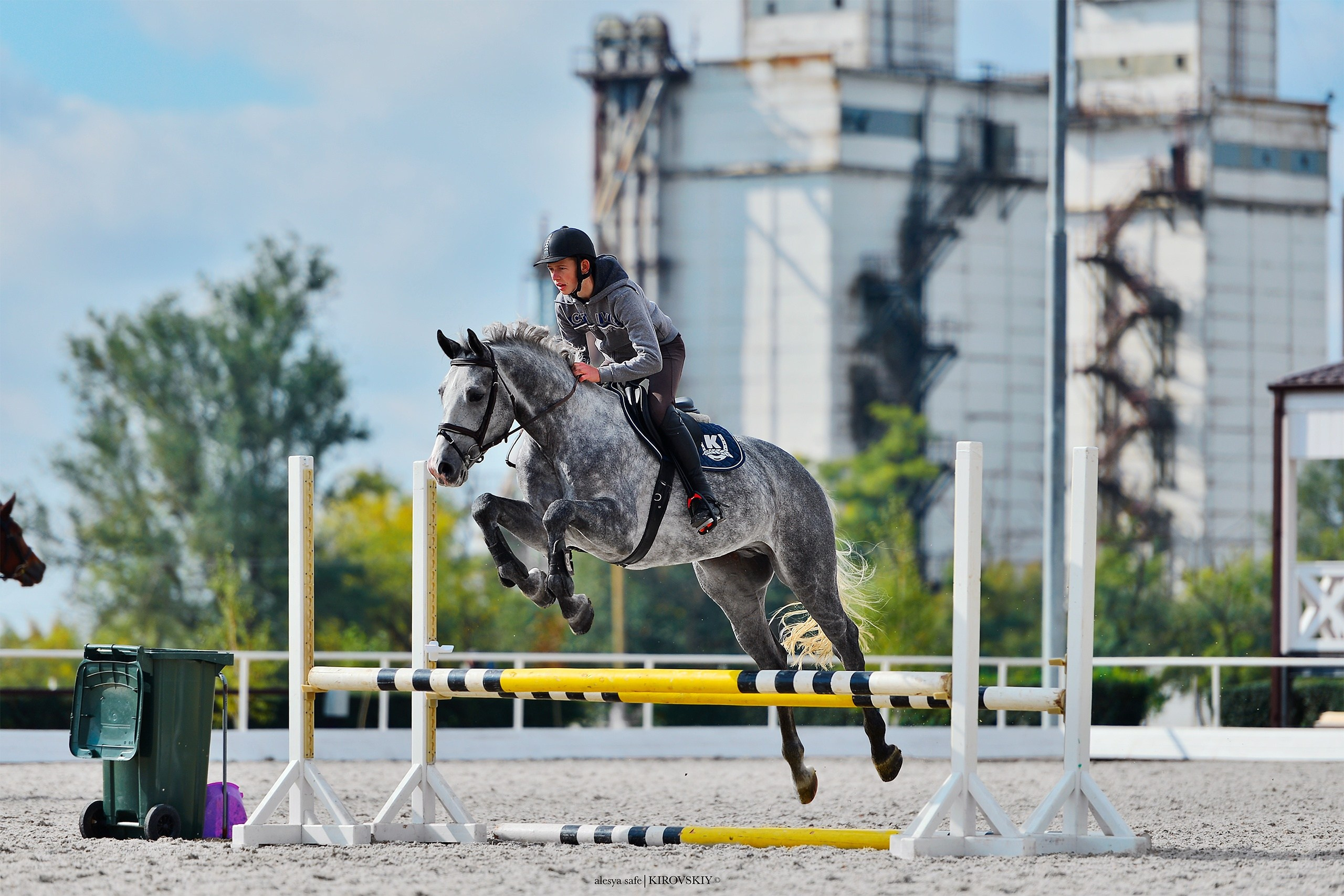 Кировский конный завод. Конный фотограф Alesya Safe
