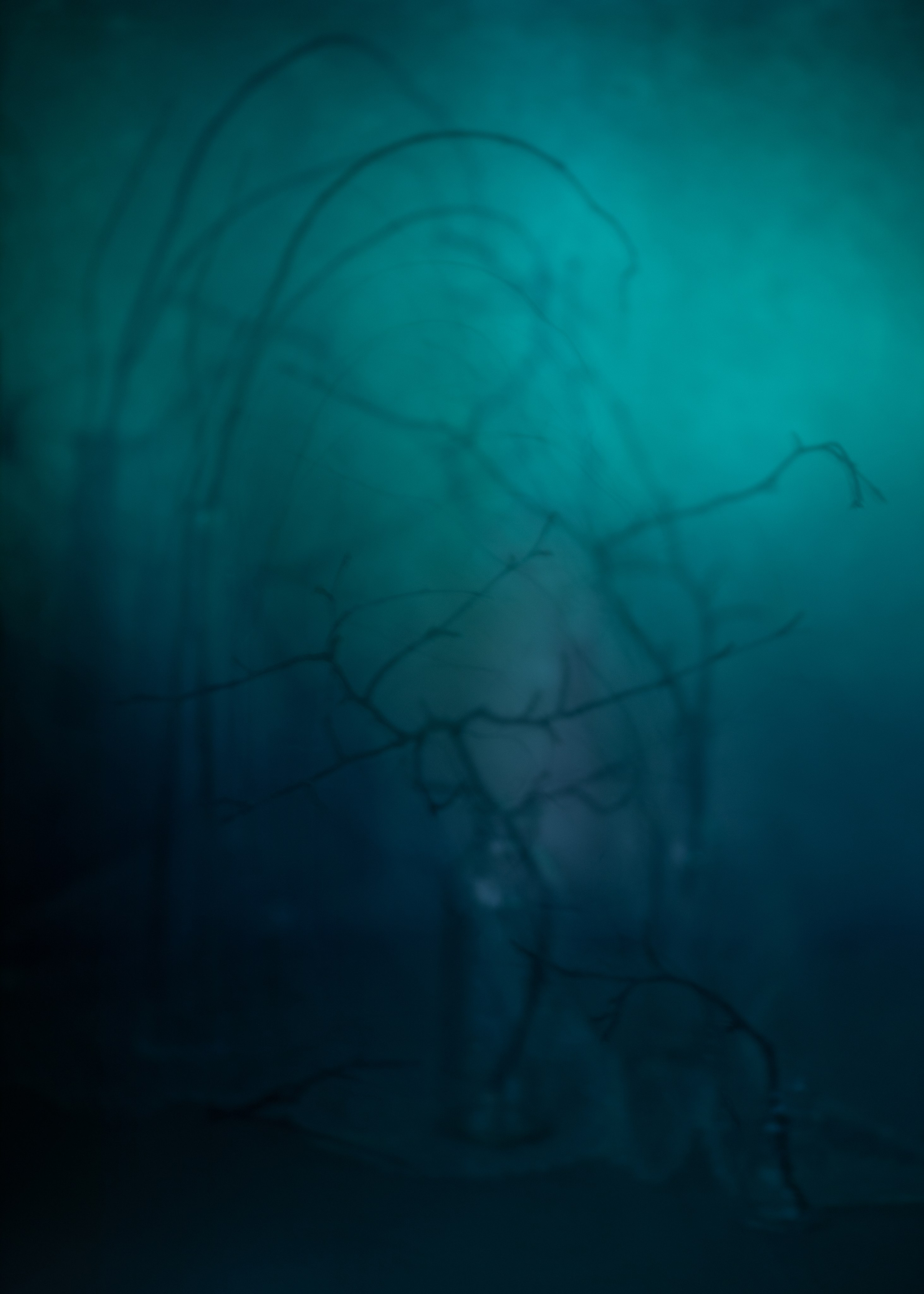 Фотографии — участники выставок и публикации. Портретный и свадебный фотограф в Пушкине и Санкт-Петербурге