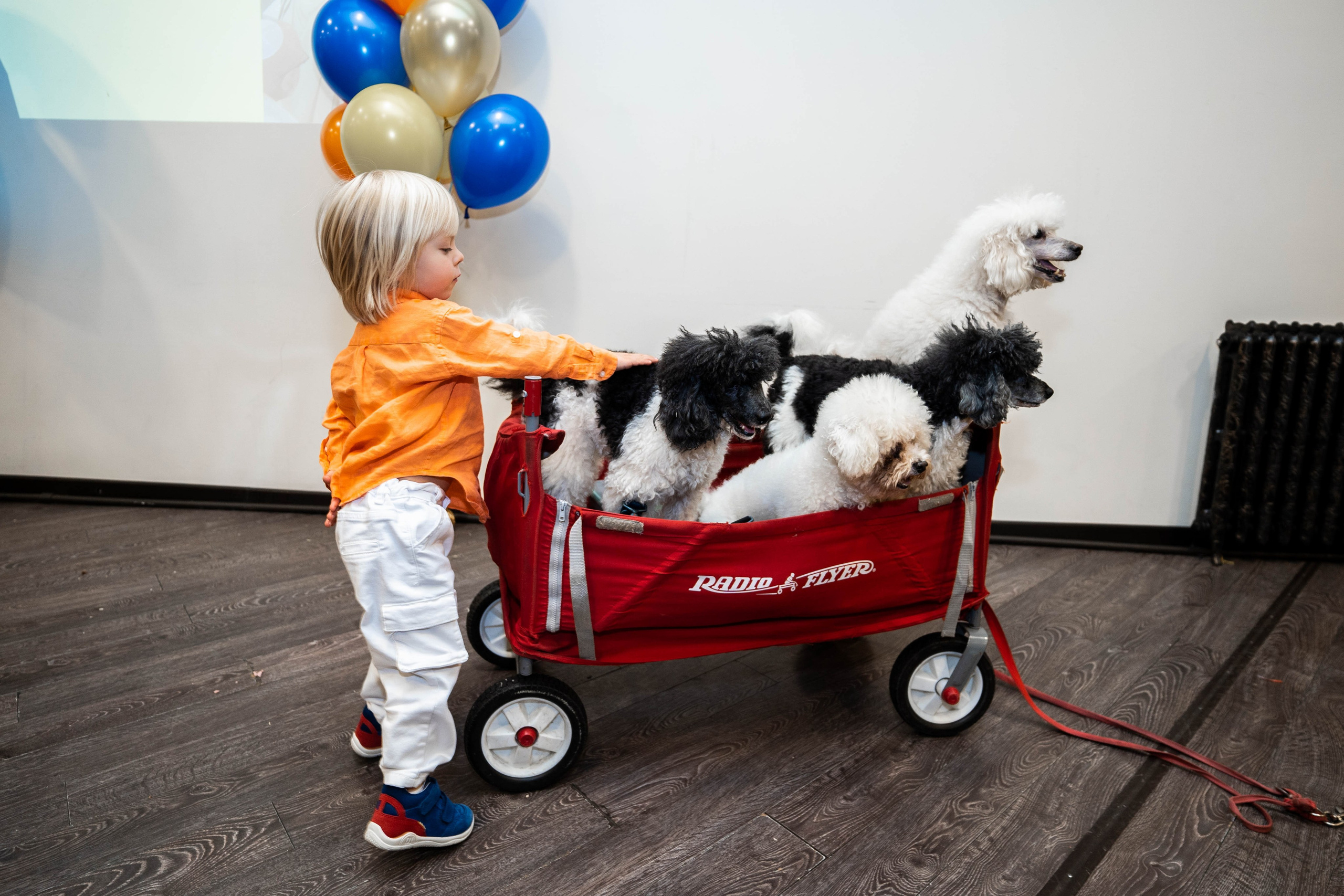 Даниэль h-day. Фотограф Абакумова Анастасия