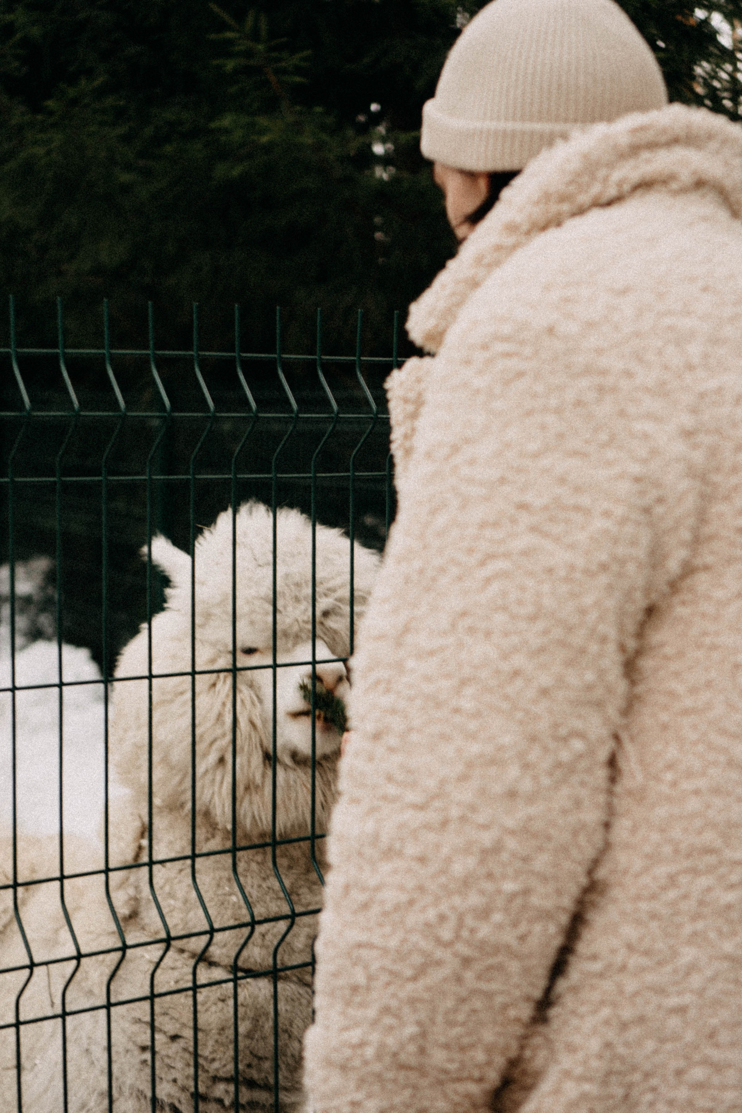 Каток. Профессиональный фотограф, Санкт-Петербург — Виктория Богомолова