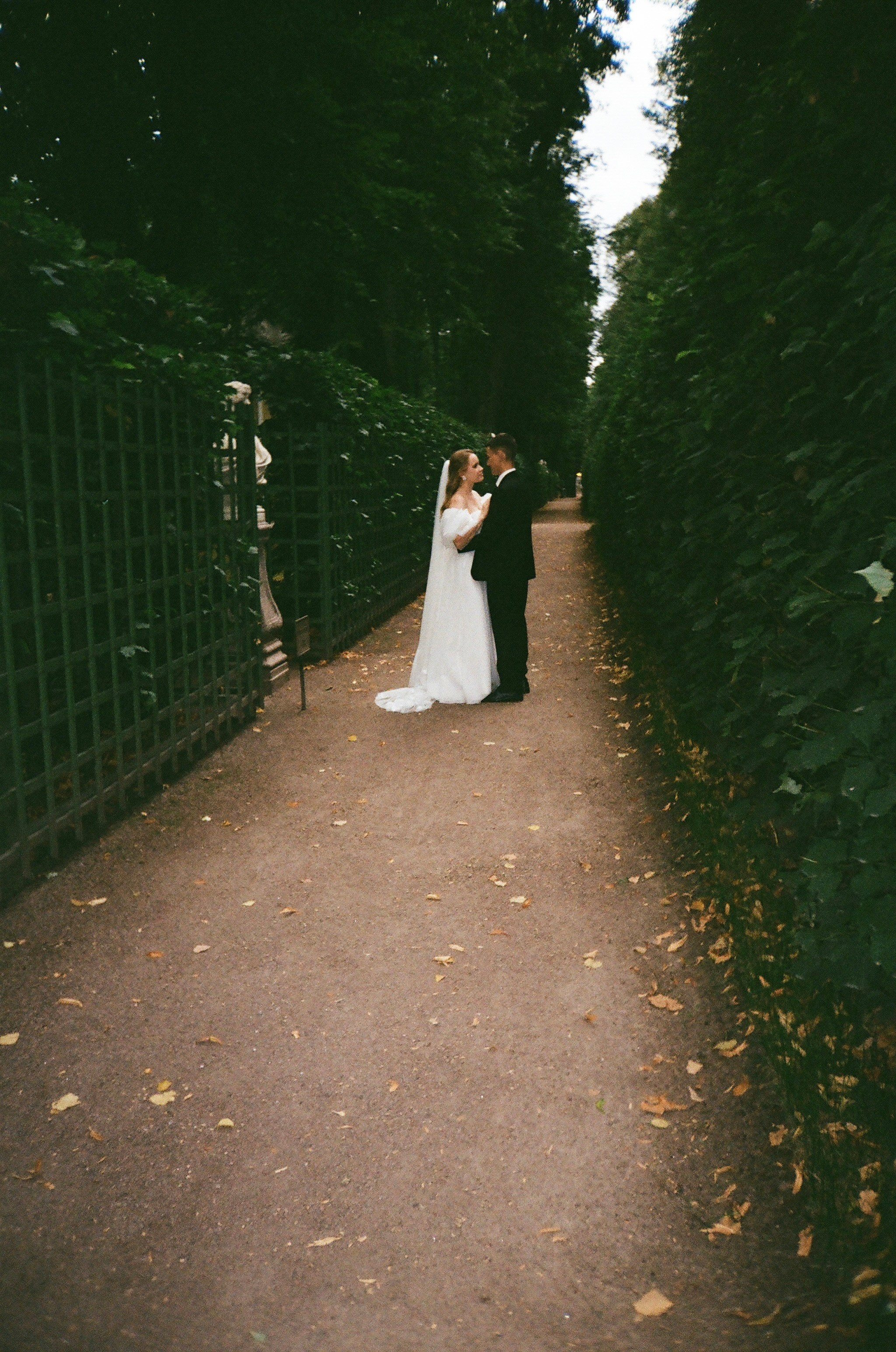 УСЛОВИЯ СВАДЕБНЫХ СЬЕМОК. Профессиональный фотограф, Санкт-Петербург — Виктория Богомолова