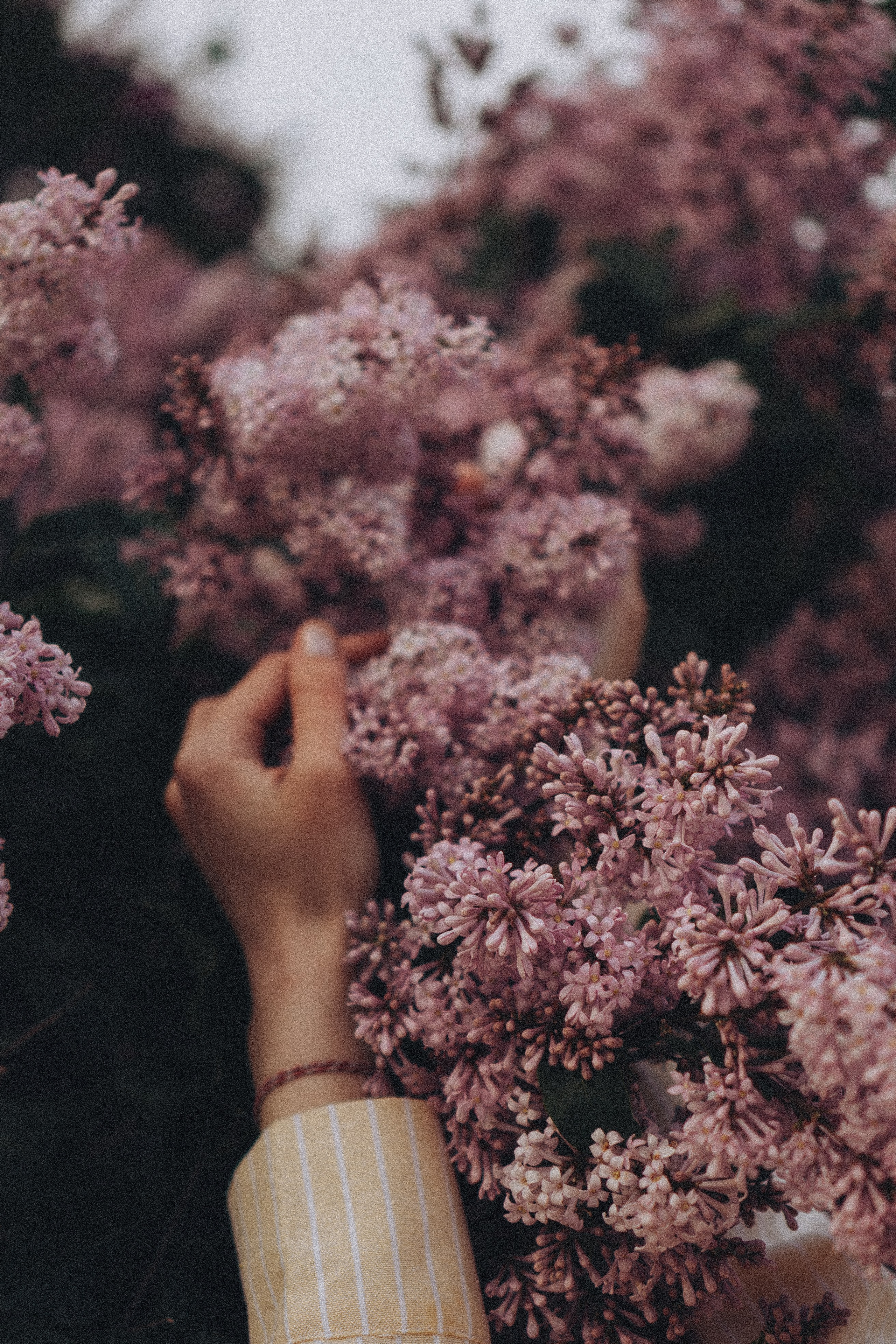 Весна. Профессиональный фотограф, Санкт-Петербург — Виктория Богомолова