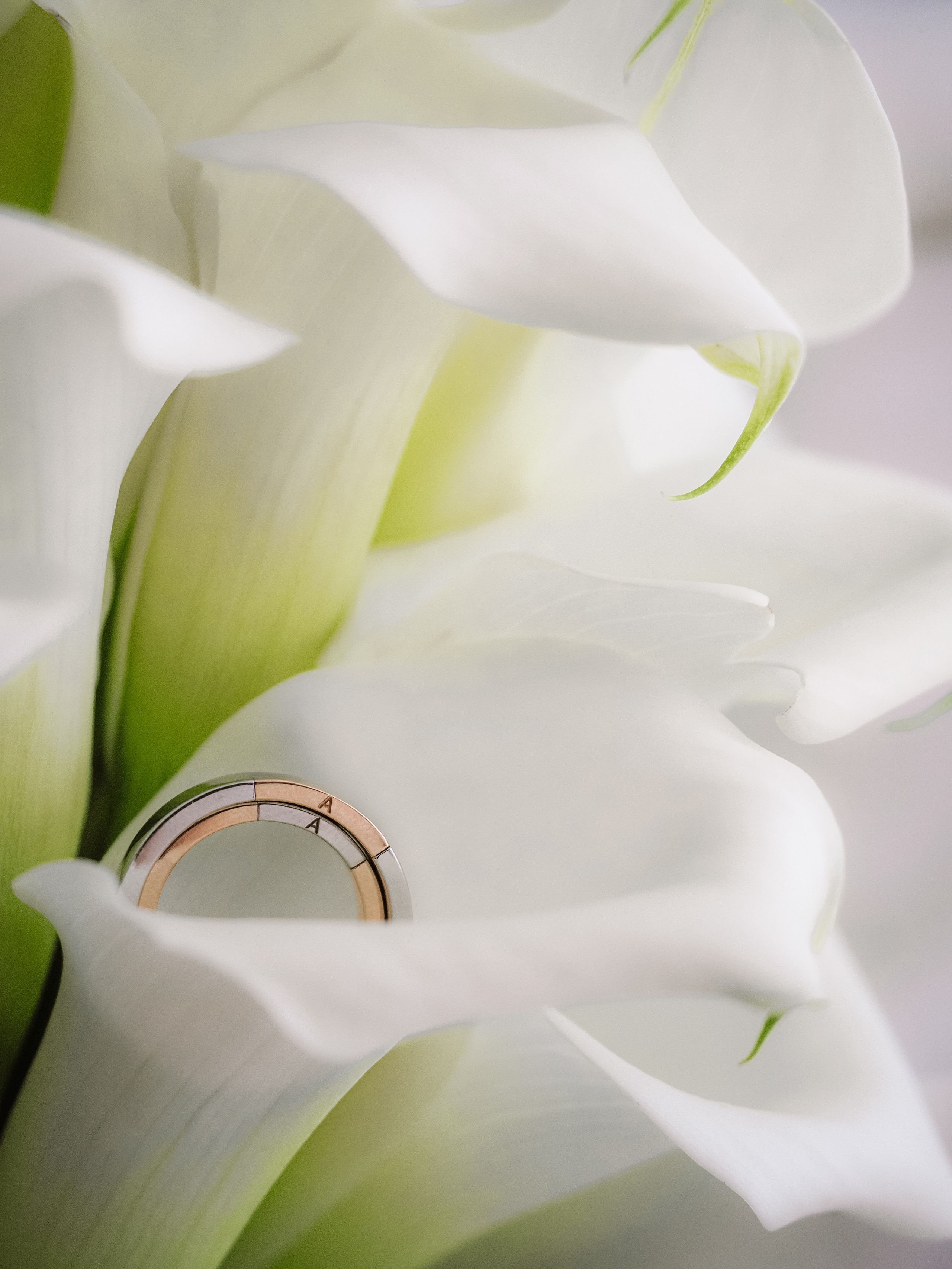 Алёна и Александр. Фотограф Рязань. Семейный Свадебный фотограф