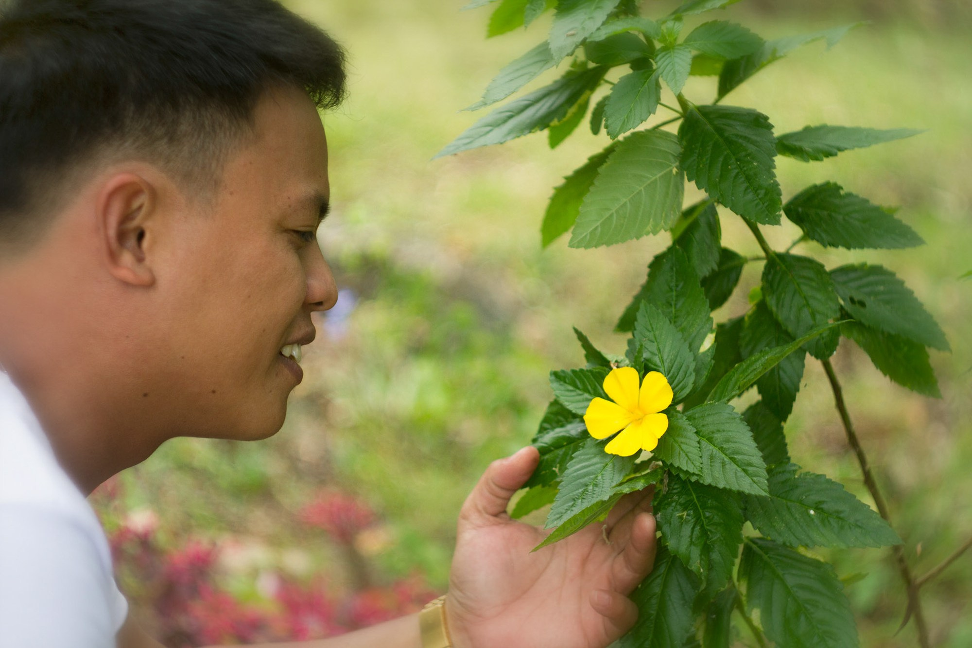 Фото и видео съемка мероприятия. Фото и видеосъемка