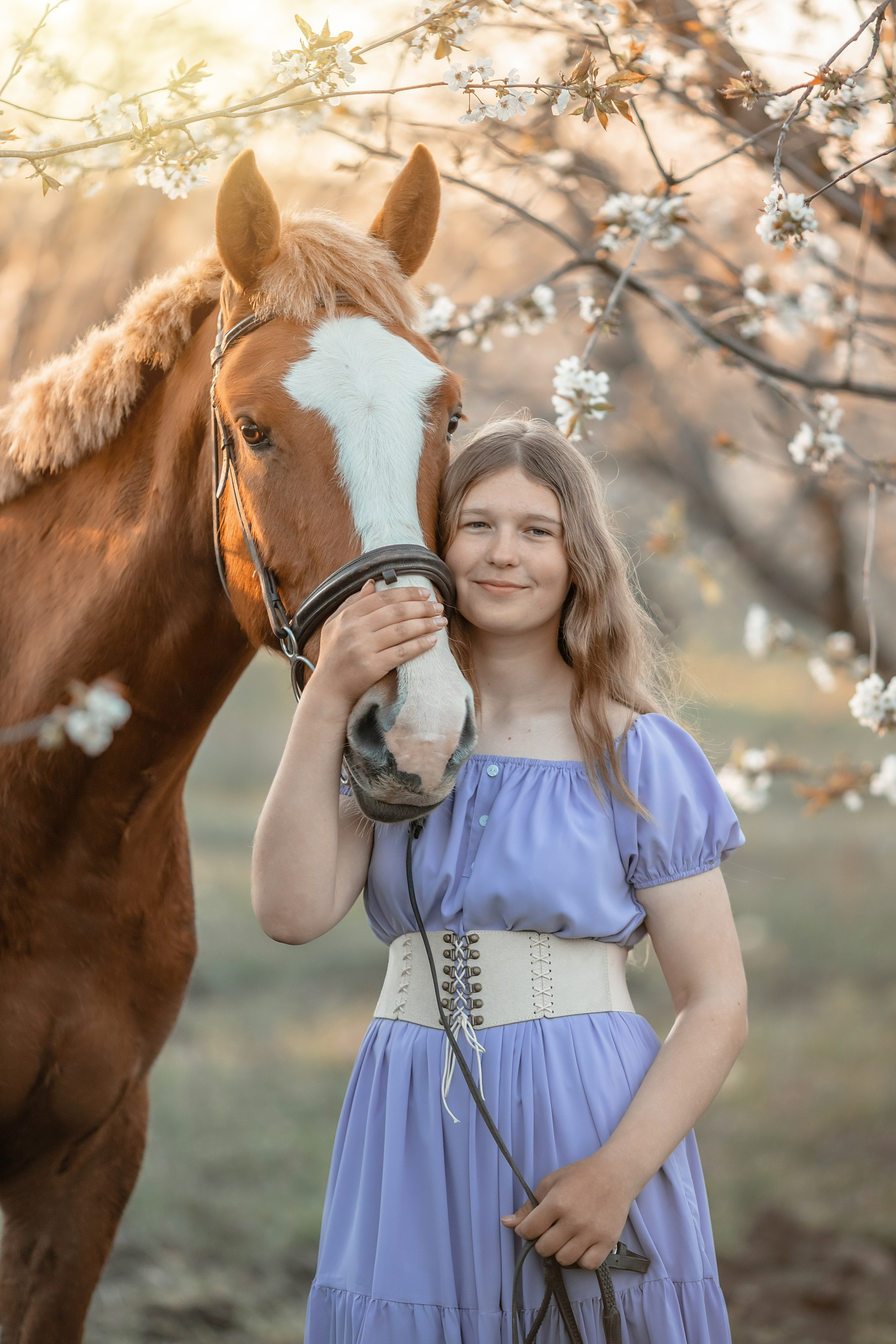 Лошади. Художественный фотограф Анапа Александра Долбикова