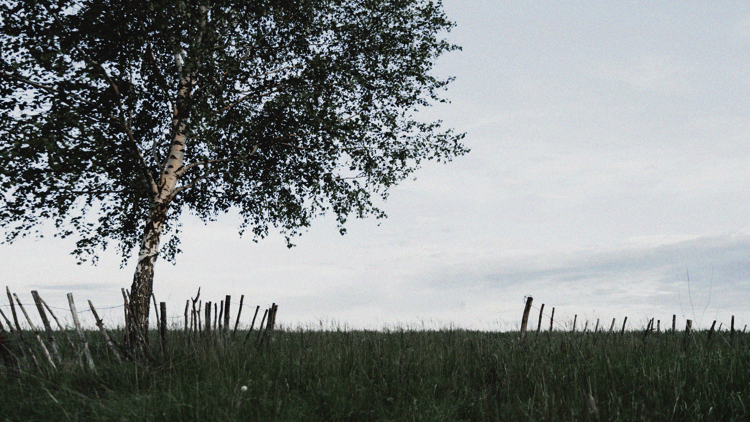 Они. Свадебный фотограф Анжелика Сариева