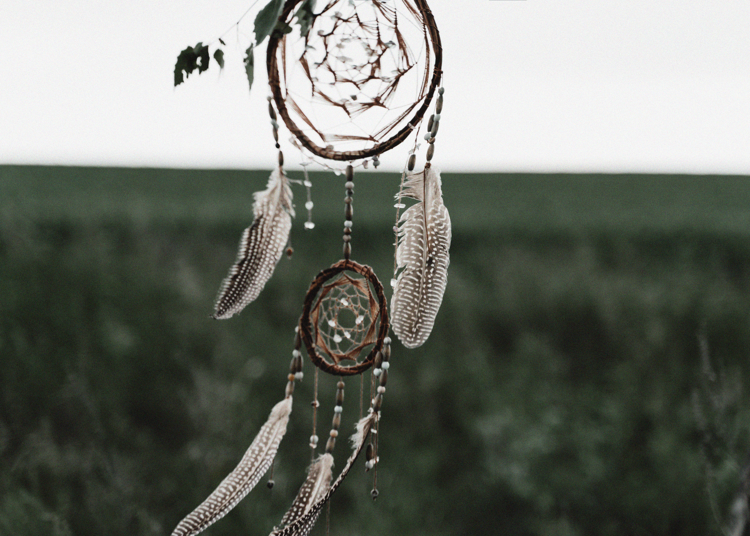 Они. Свадебный фотограф Анжелика Сариева