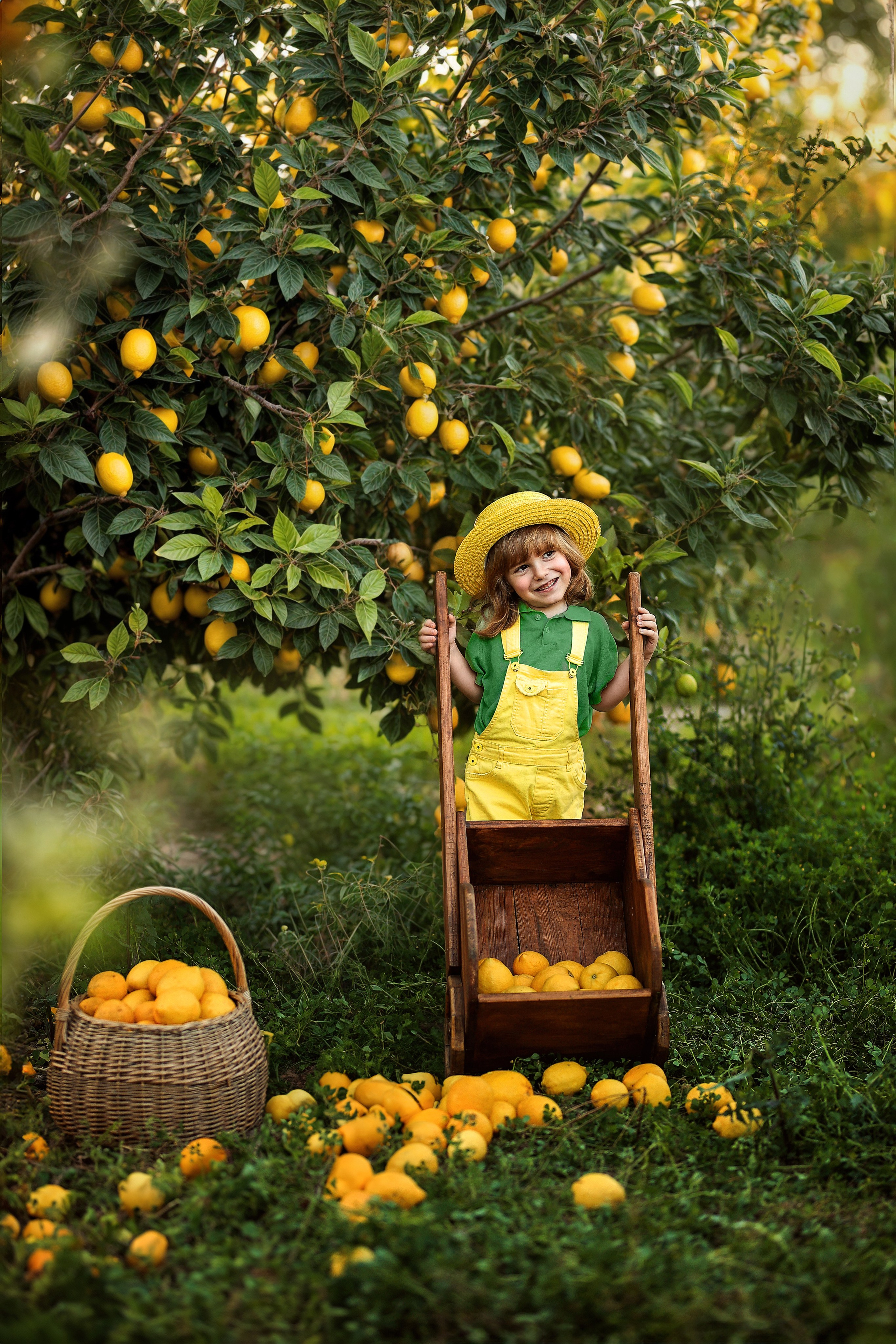 Potoshooting in lemon garden