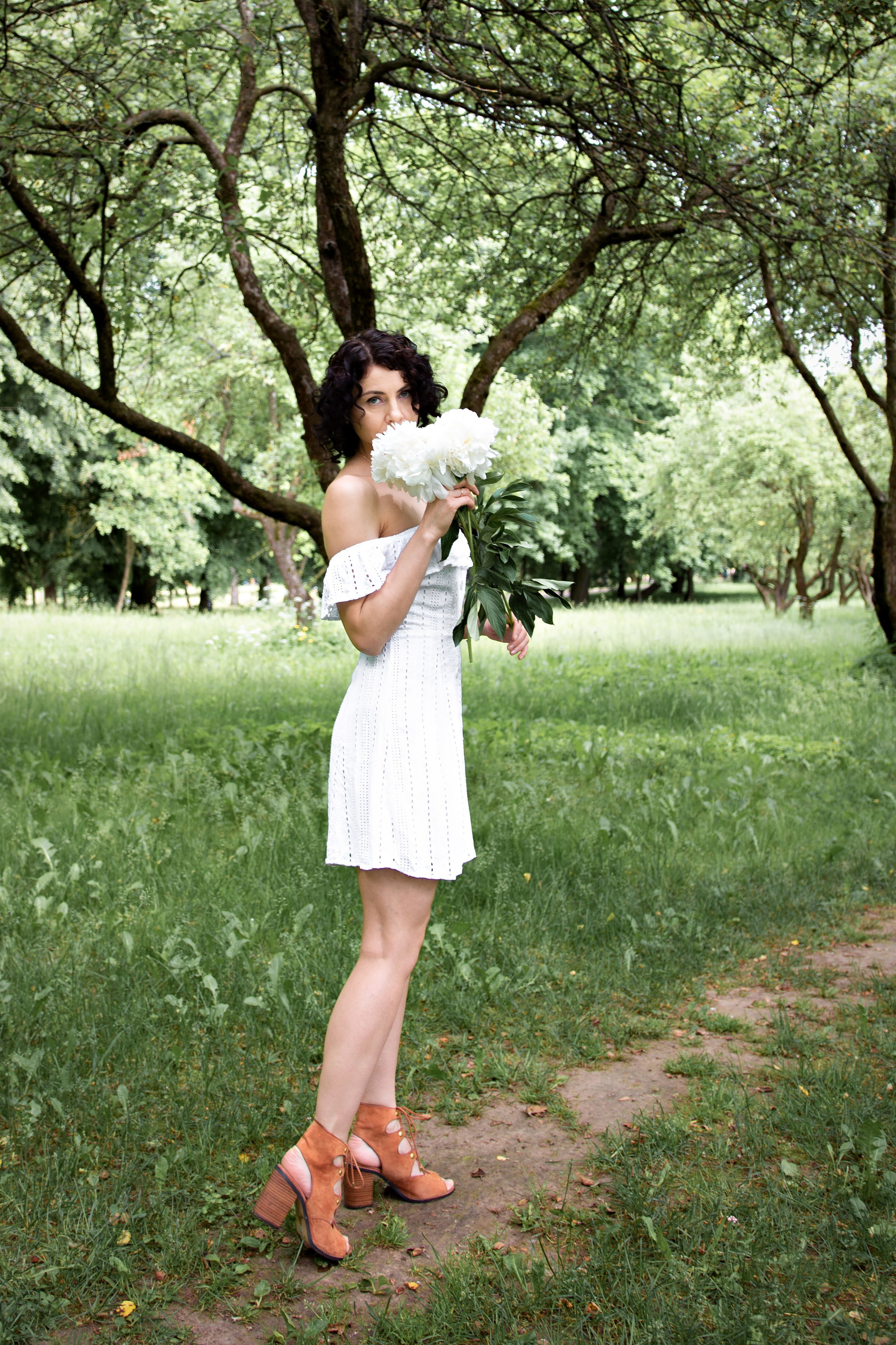 Зелёная симфония