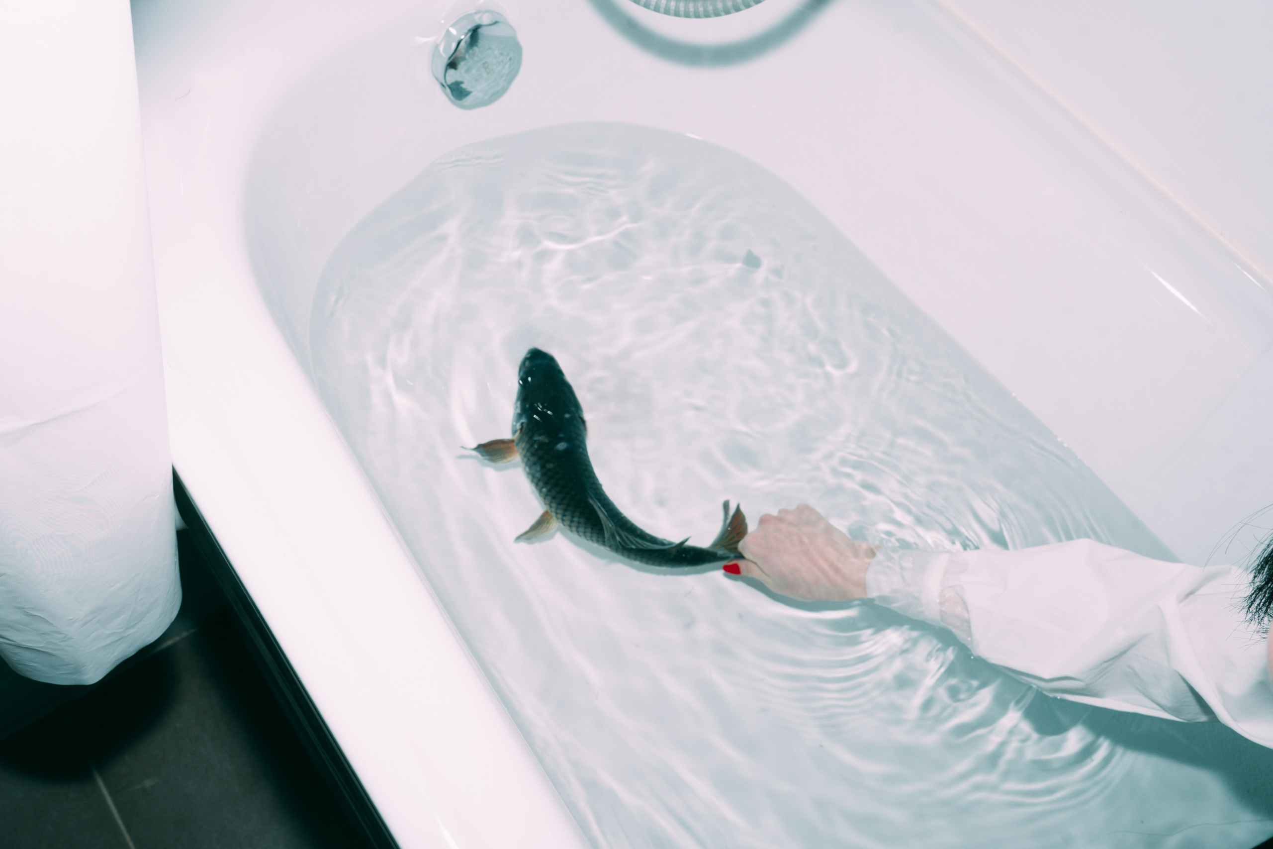 Carp Grisha. Sasha Speranskii — Conceptual Photographer | Based in Moscow