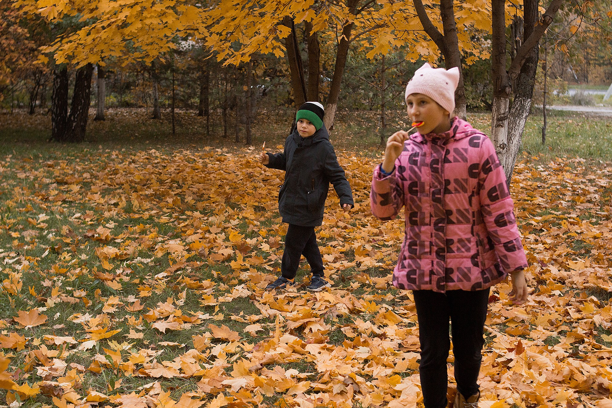 Осенние забавы. Детский и семейный фотограф, фотограф мероприятий Нижний Новгород