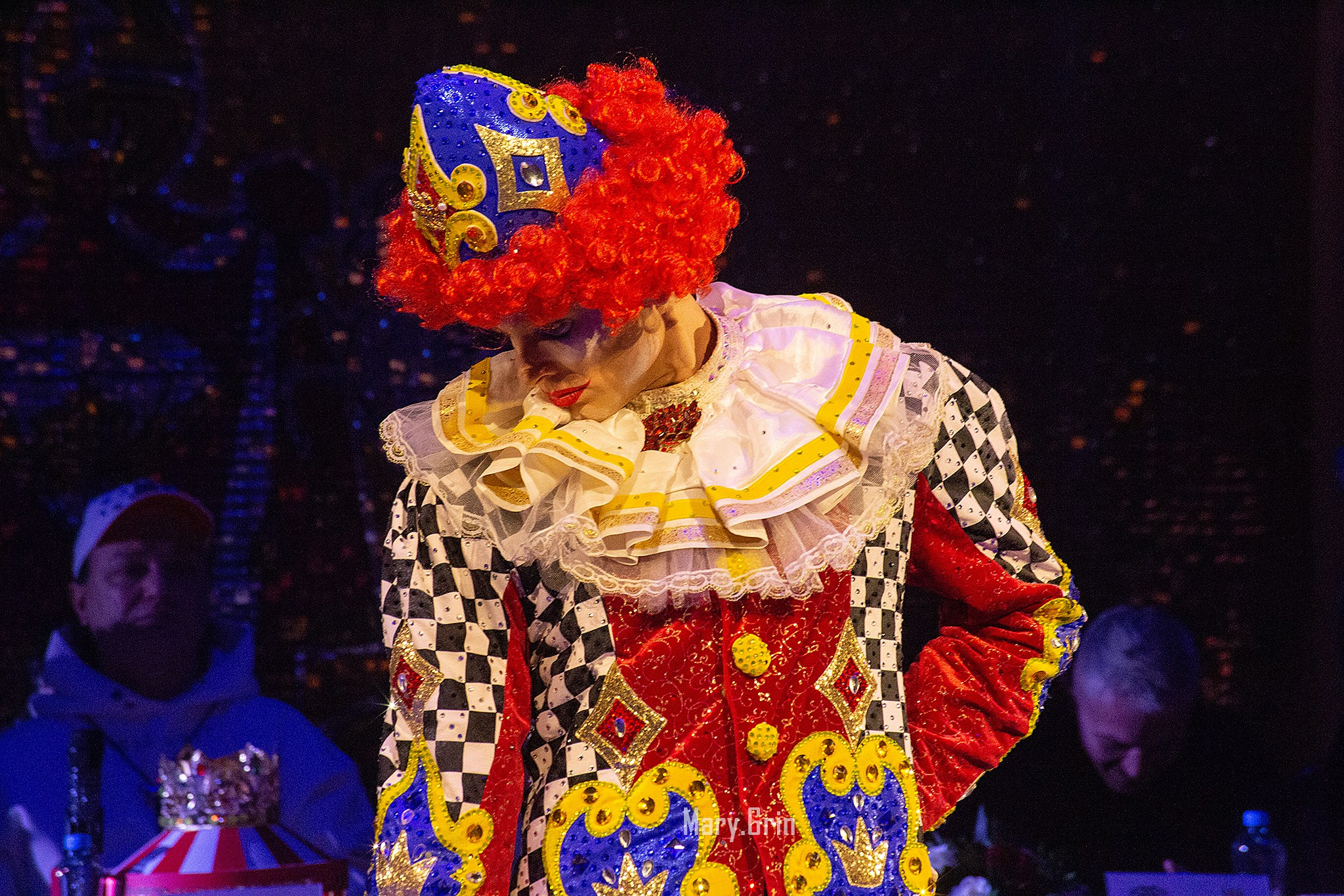 Цирк Гии Эрадзе. Детский и семейный фотограф, фотограф мероприятий Нижний Новгород