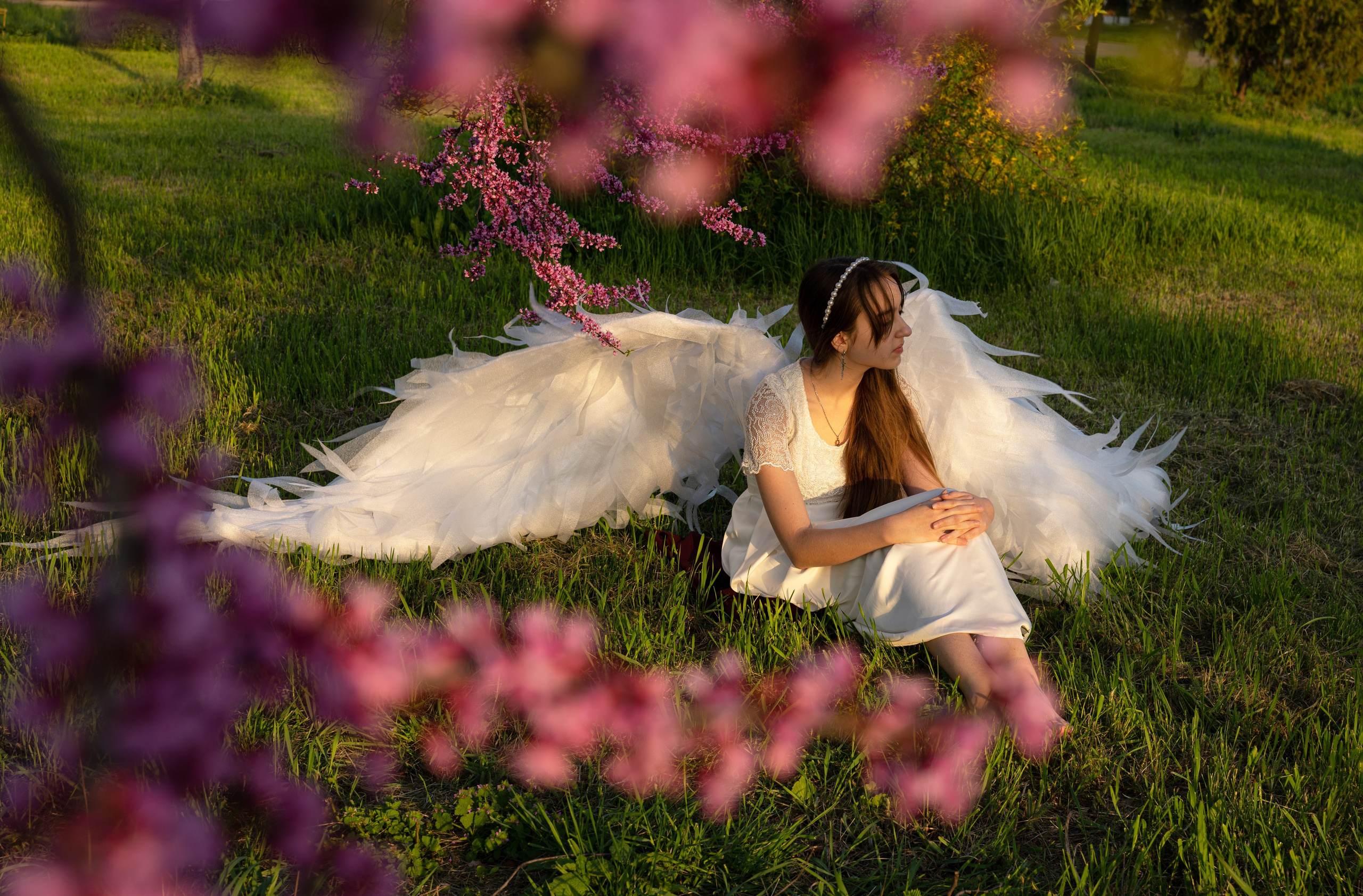 Крылатые истории. Главная