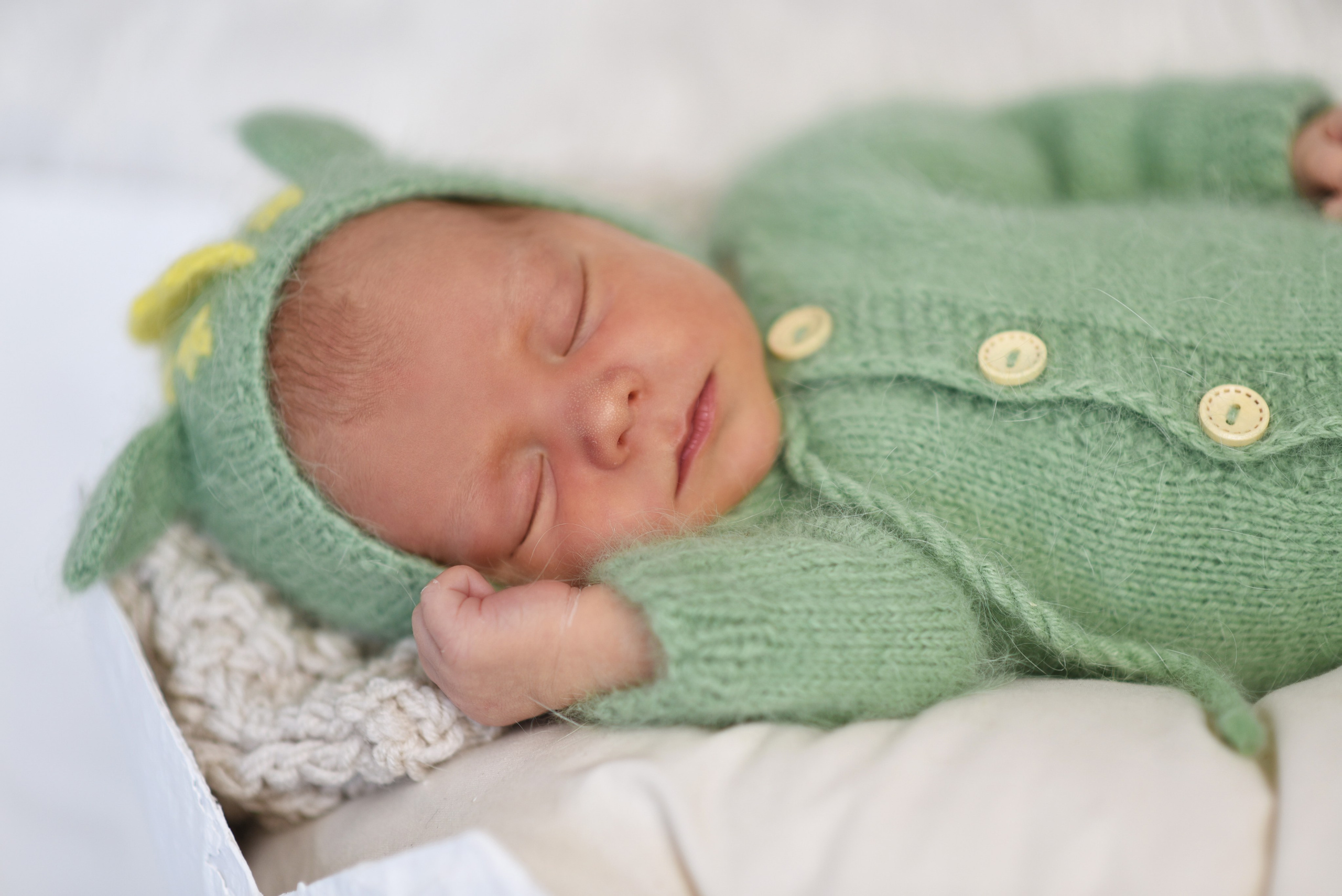 Артем-динозаврик. Семейный, детский и школьный фотограф в Димитровграде Наумова Екатерина