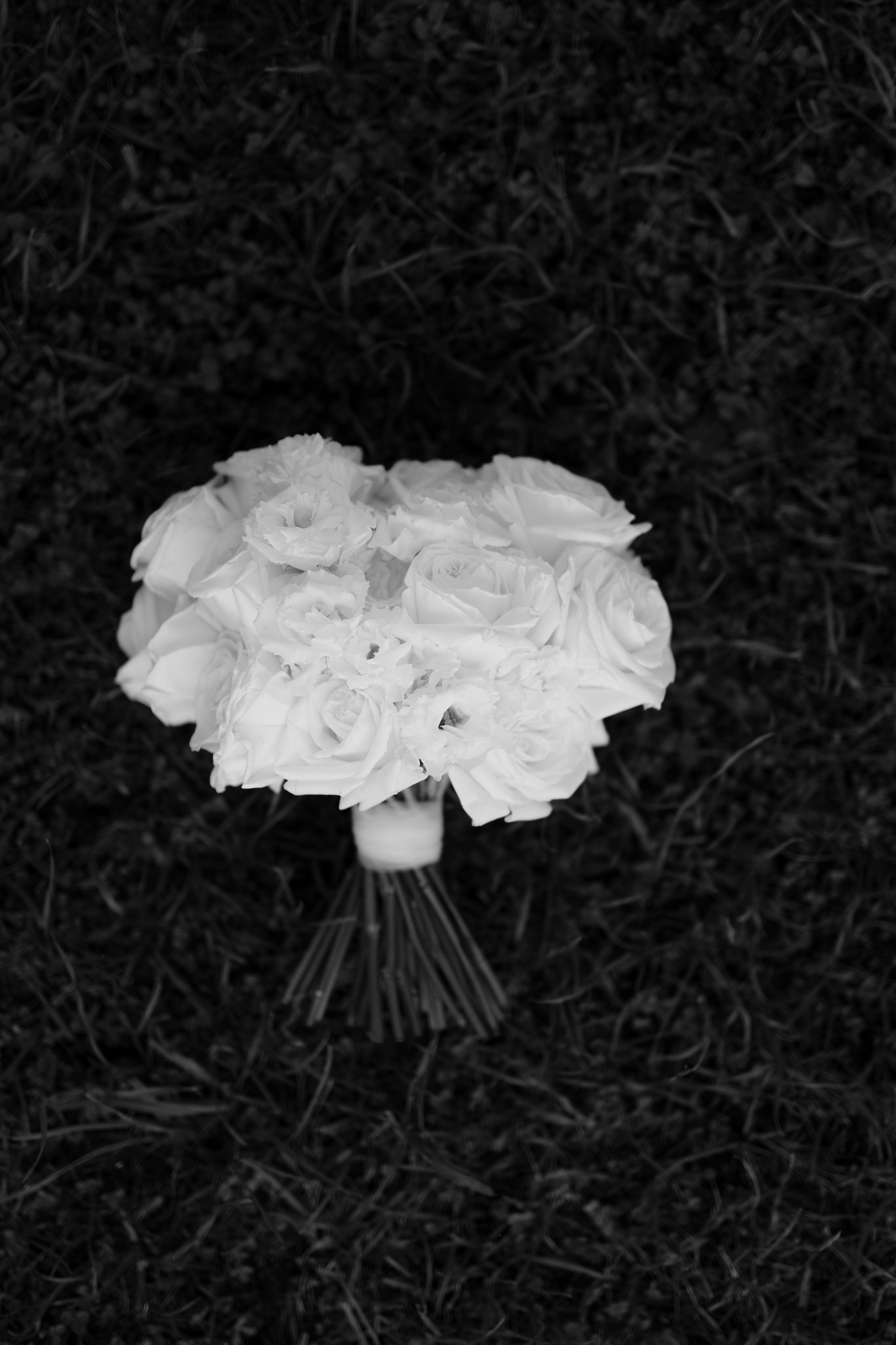 Свадьба Никиты и Анны. Фотограф Кольчугино/Владимир/Москва Елизавета Иода