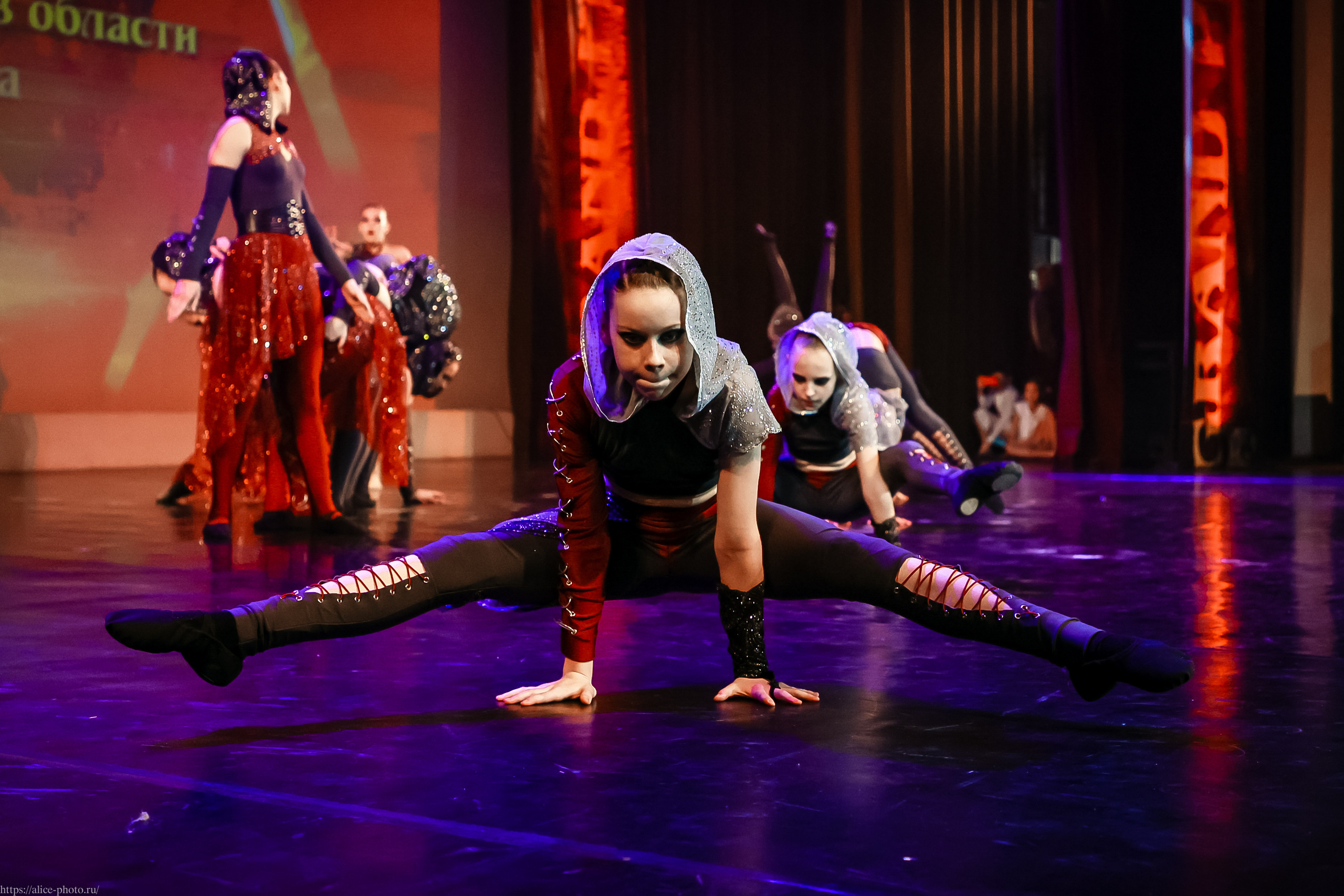 Репортаж GRAND PREMIUM. MD PRIDE. Семейный фотограф в Санкт-Петербурге, Портретист, Алиса Фотограф