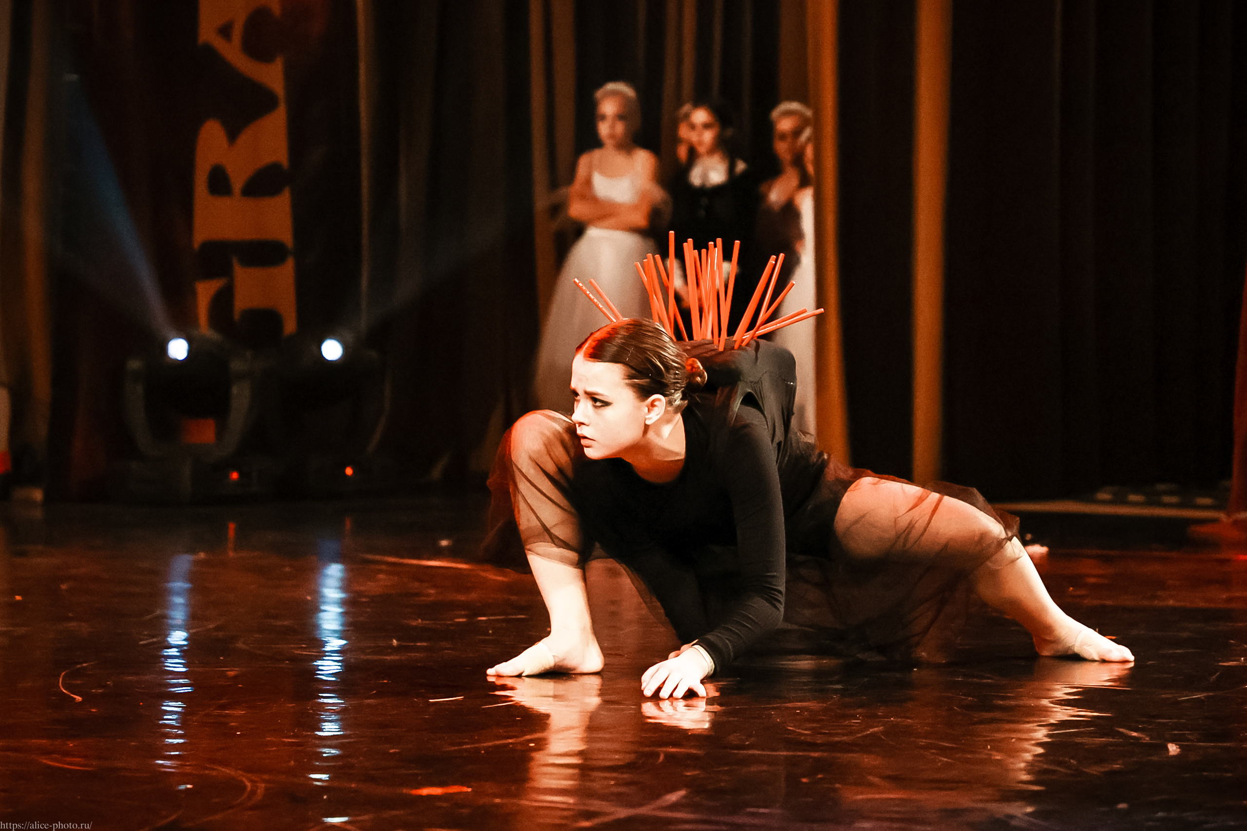 Репортаж GRAND PREMIUM. MD PRIDE. Семейный фотограф в Санкт-Петербурге, Портретист, Алиса Фотограф