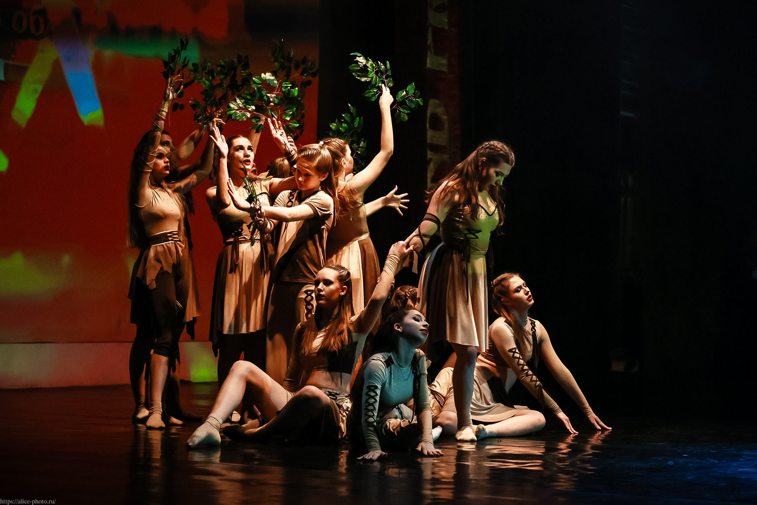 Репортаж GRAND PREMIUM. MD PRIDE. Семейный фотограф в Санкт-Петербурге, Портретист, Алиса Фотограф