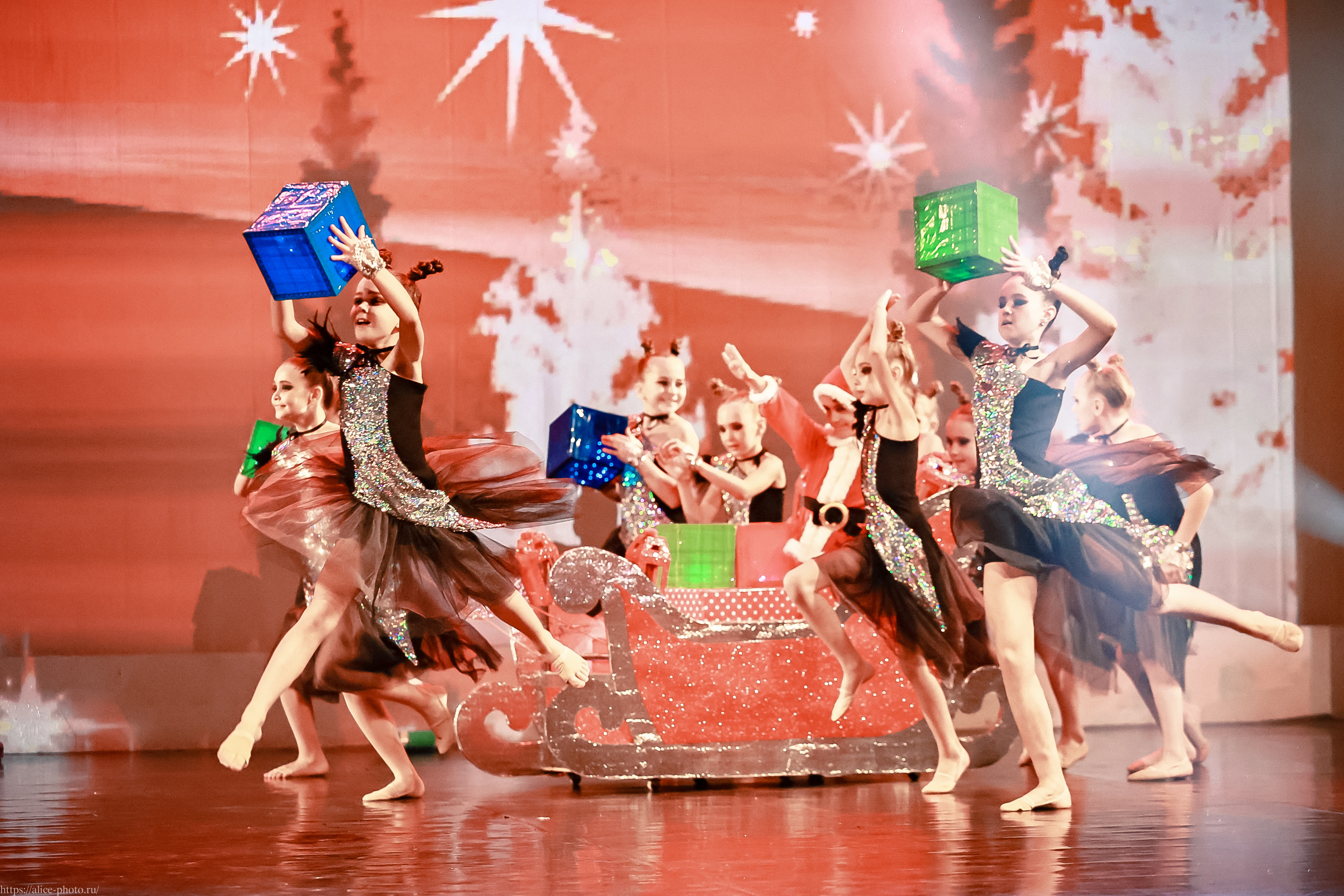 Репортаж GRAND PREMIUM. MD PRIDE. Семейный фотограф в Санкт-Петербурге, Портретист, Алиса Фотограф