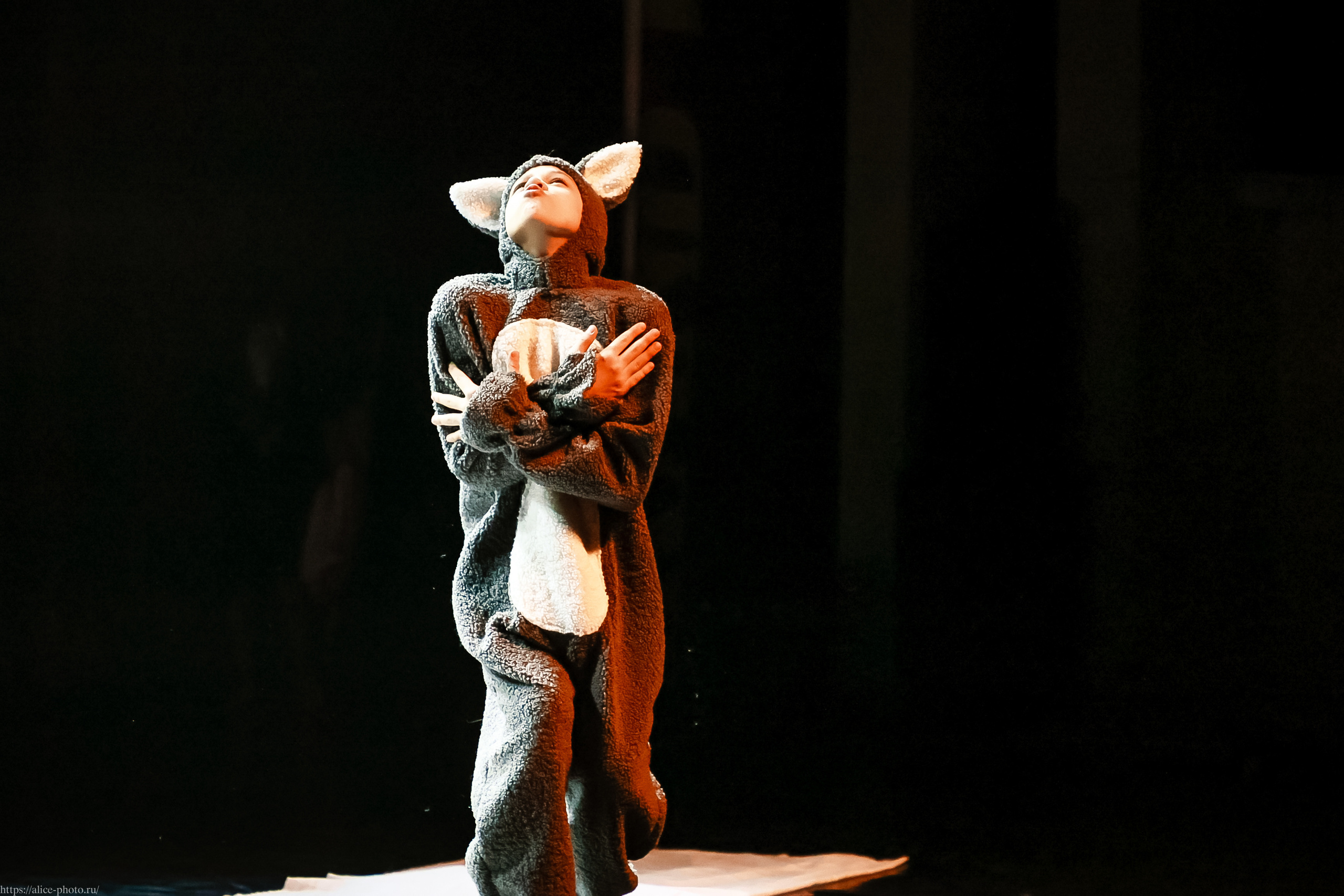 Репортаж GRAND PREMIUM. MD PRIDE. Семейный фотограф в Санкт-Петербурге, Портретист, Алиса Фотограф