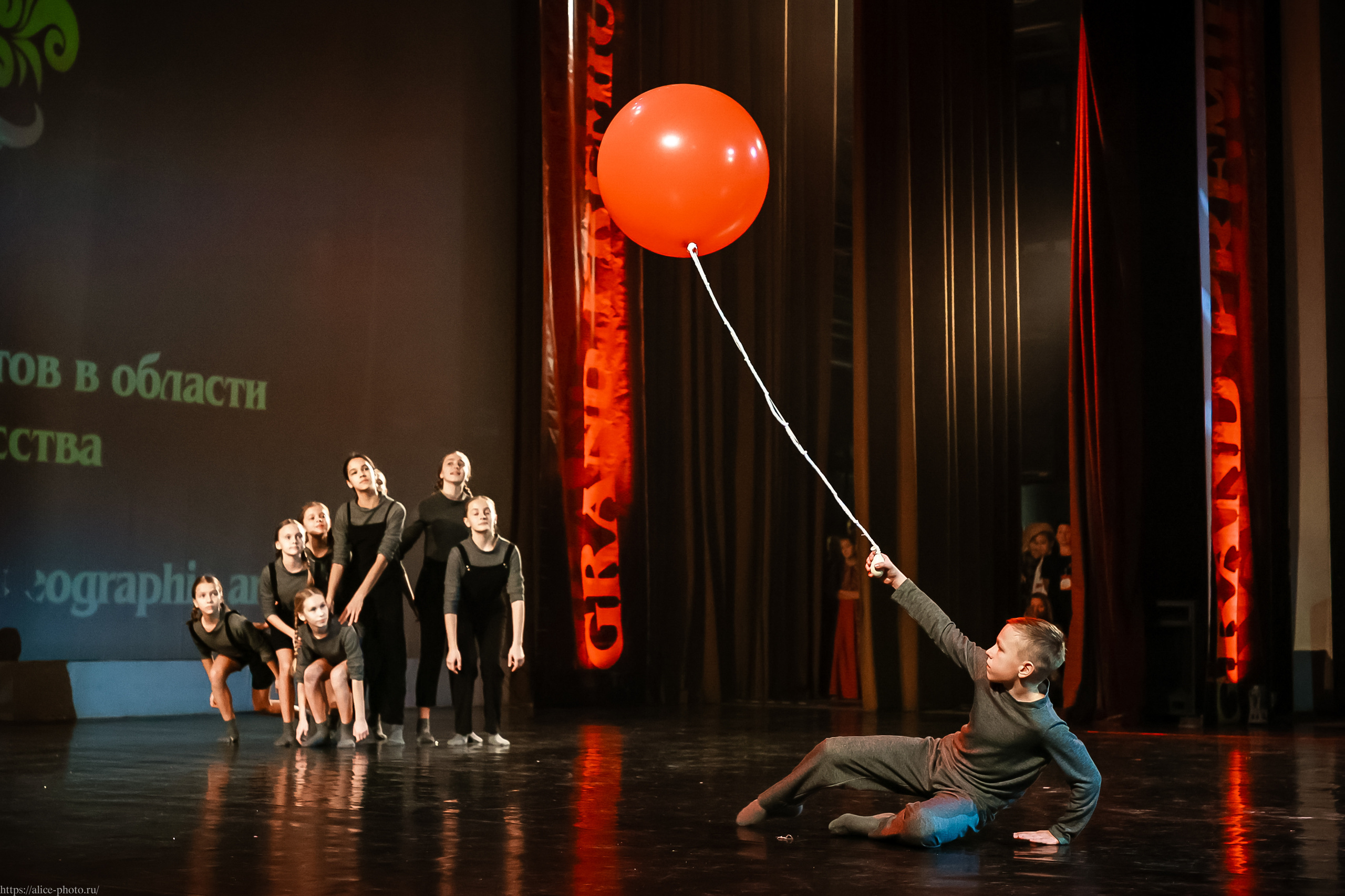 Репортаж GRAND PREMIUM. MD PRIDE. Семейный фотограф в Санкт-Петербурге, Портретист, Алиса Фотограф