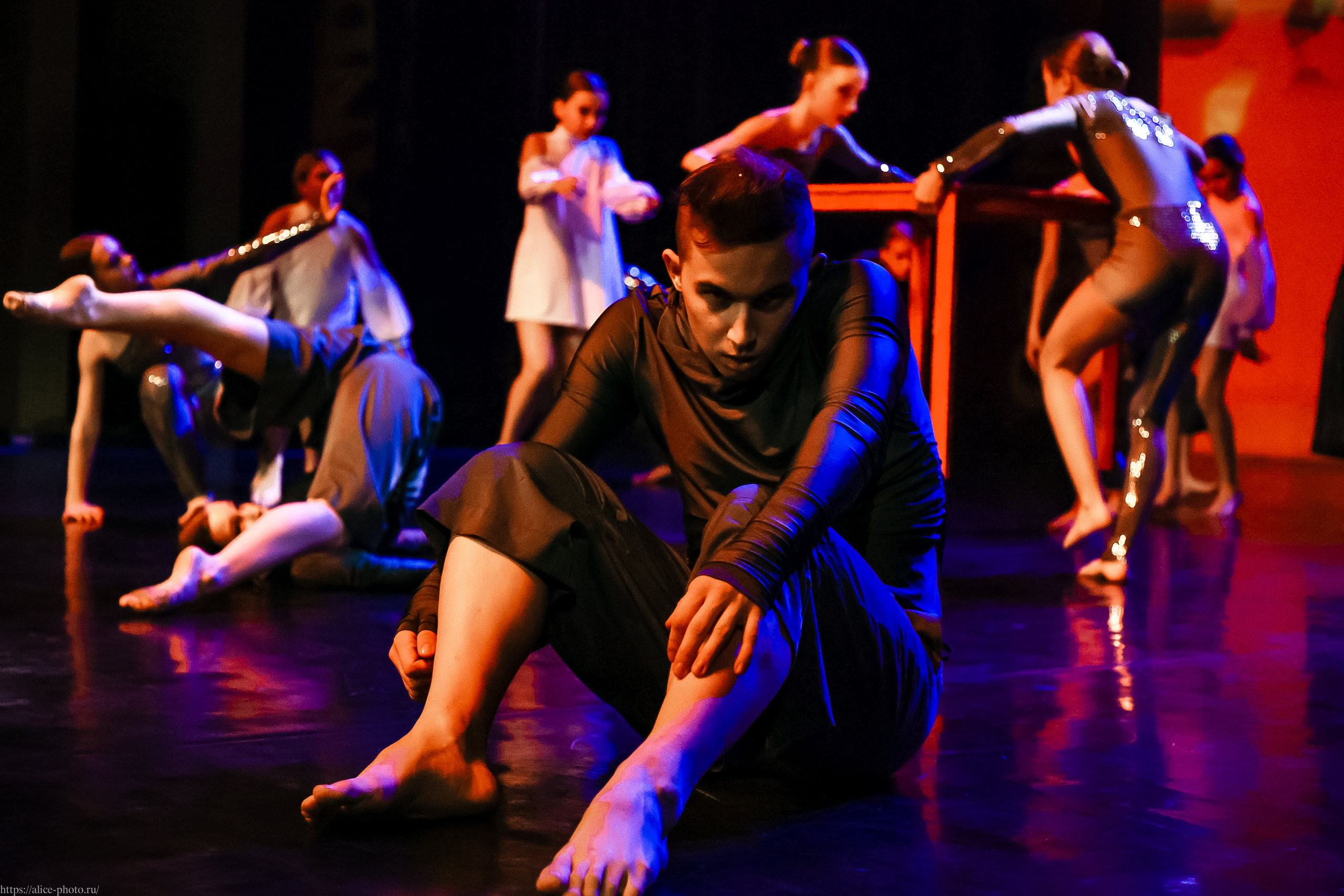 Репортаж GRAND PREMIUM. MD PRIDE. Семейный фотограф в Санкт-Петербурге, Портретист, Алиса Фотограф