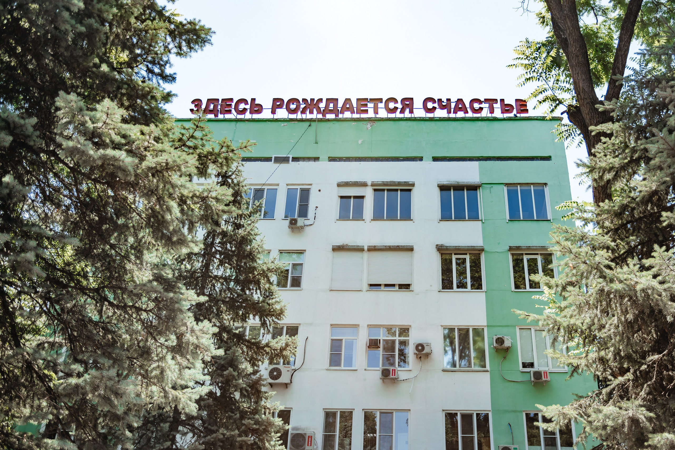 Выписка. Профессиональный фотограф Светлана Рыбка