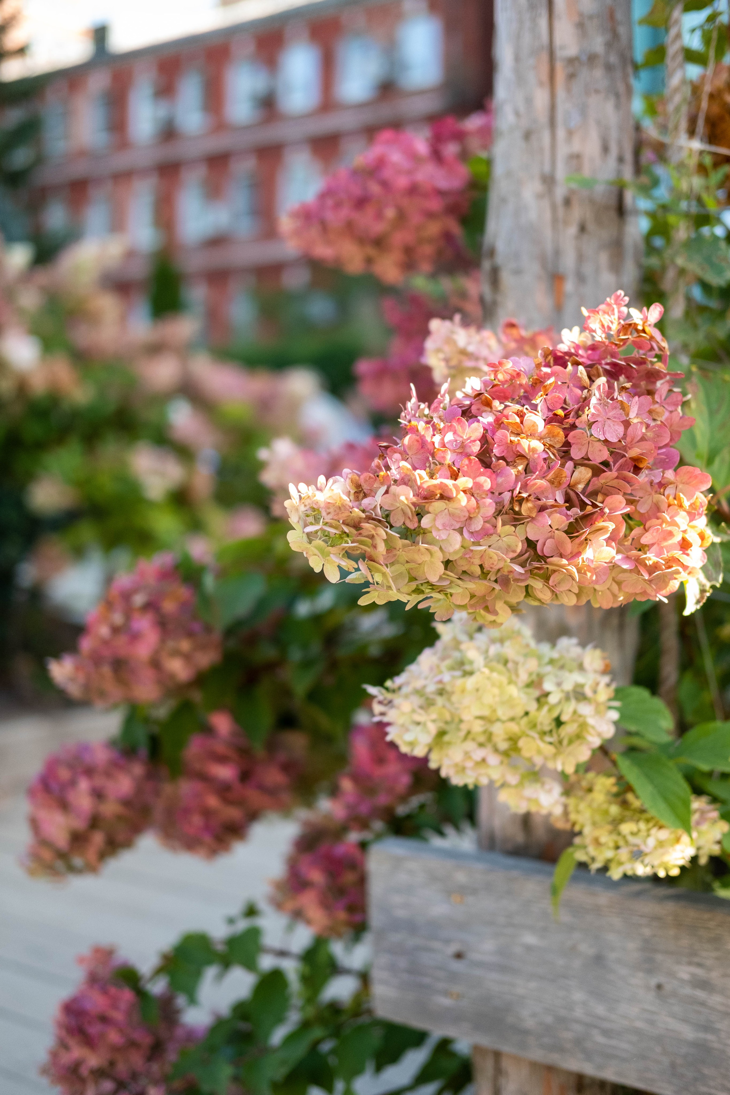 Москва 2024. Свадебный и семейный фотограф в Новосибирске, Санкт-Петербурге, Москве