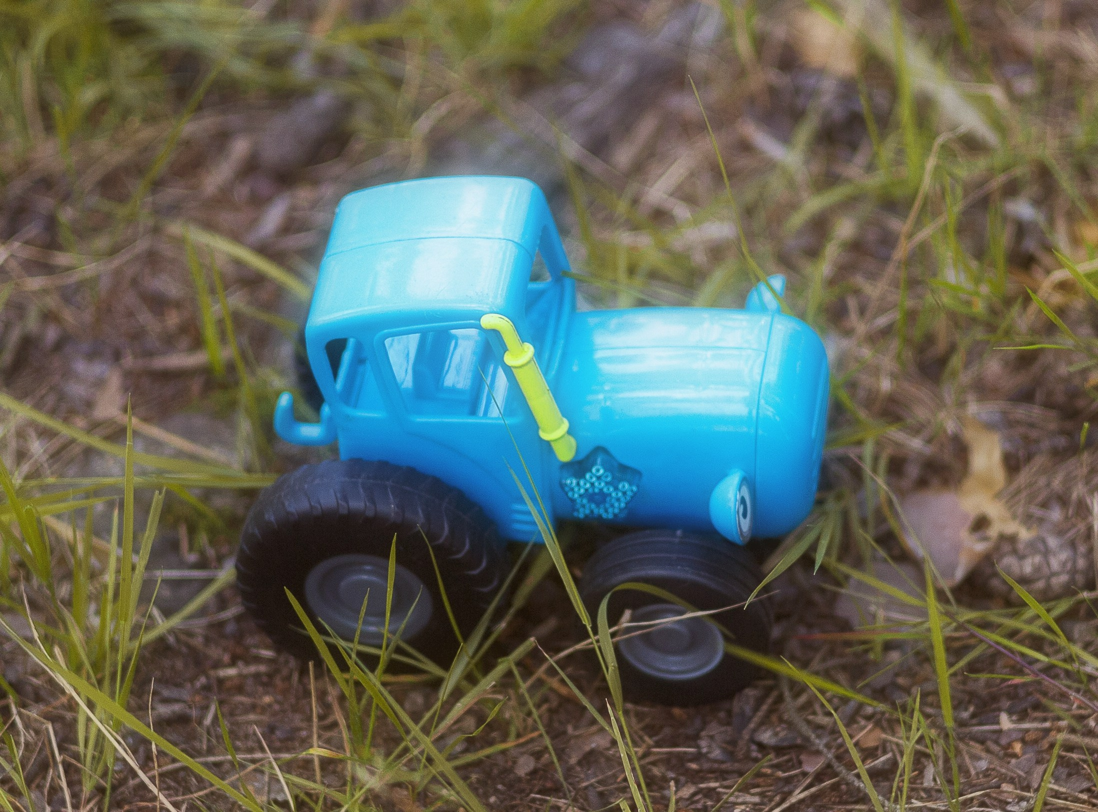 — Прогулка в Кратово