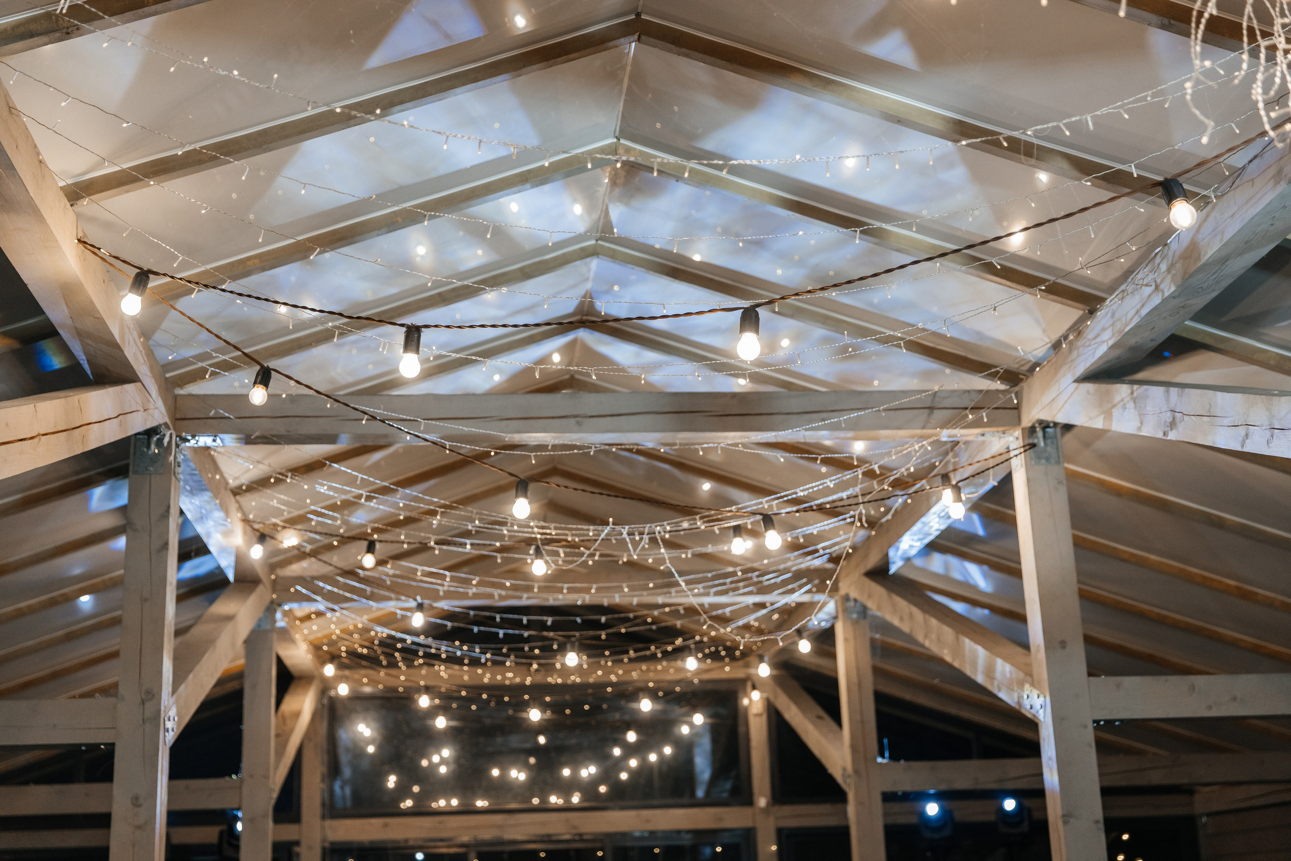 Алёна и Никита. Фотограф Москва Шептаев Артём