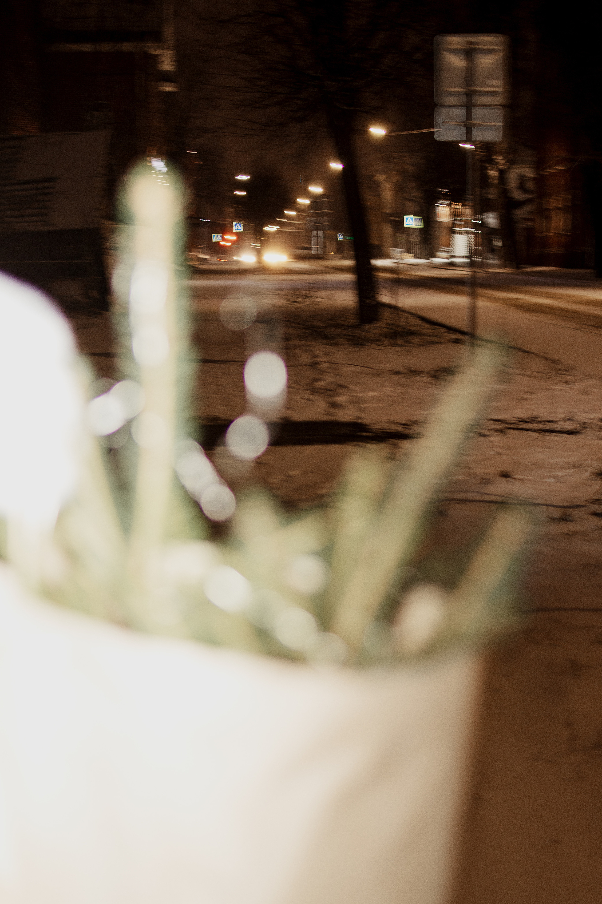 Юля. Семейный фотограф Кострома/Санкт-Петребург Дарья Гавриченко