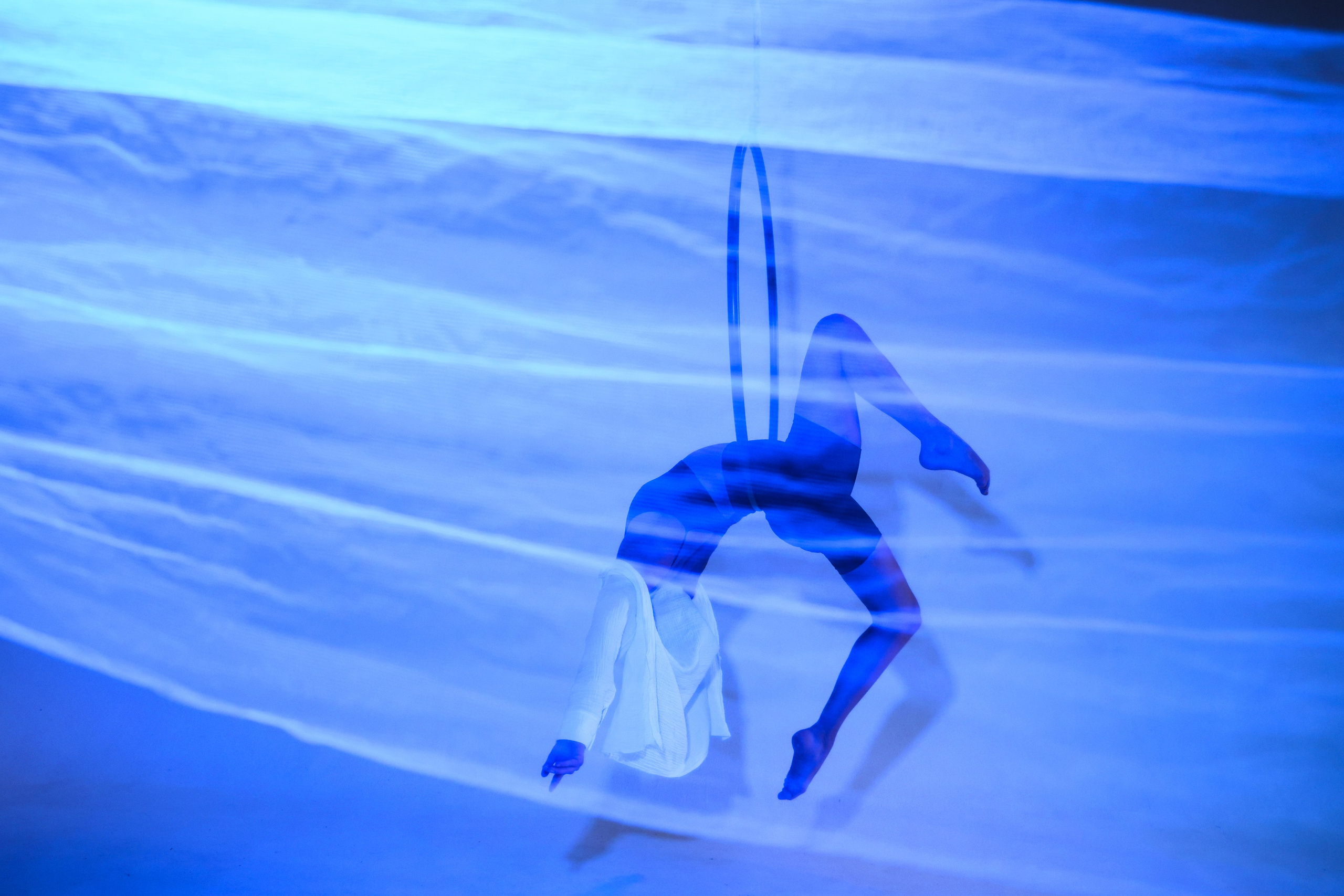 Sport-Art. Анна Жукова — Режиссёр кино и цирка, сценарист, фотограф