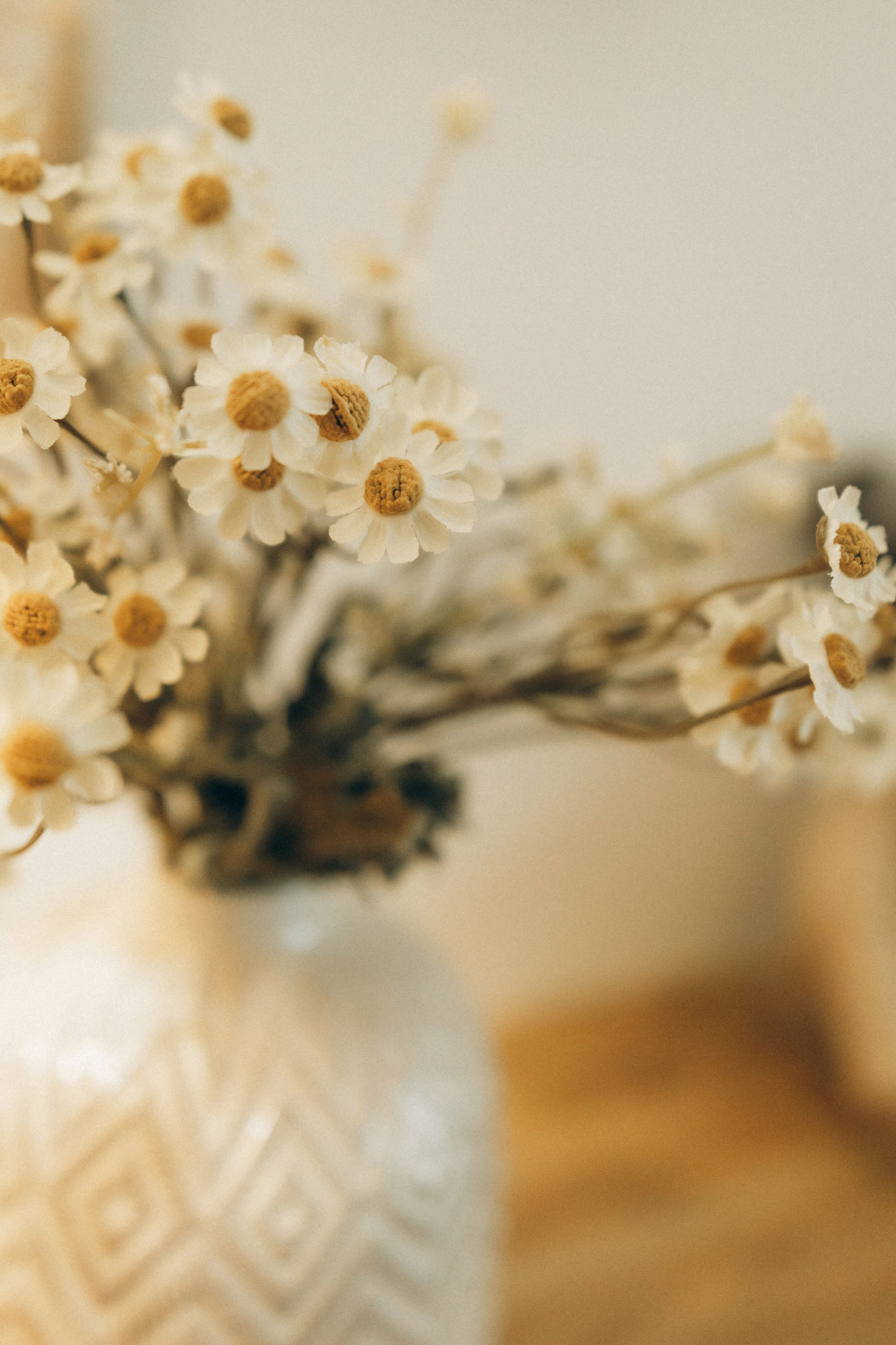 Маша, Стас и Тим. Семейный фотограф и детский фотограф в Волгограде Алеся Бутакова — дет
