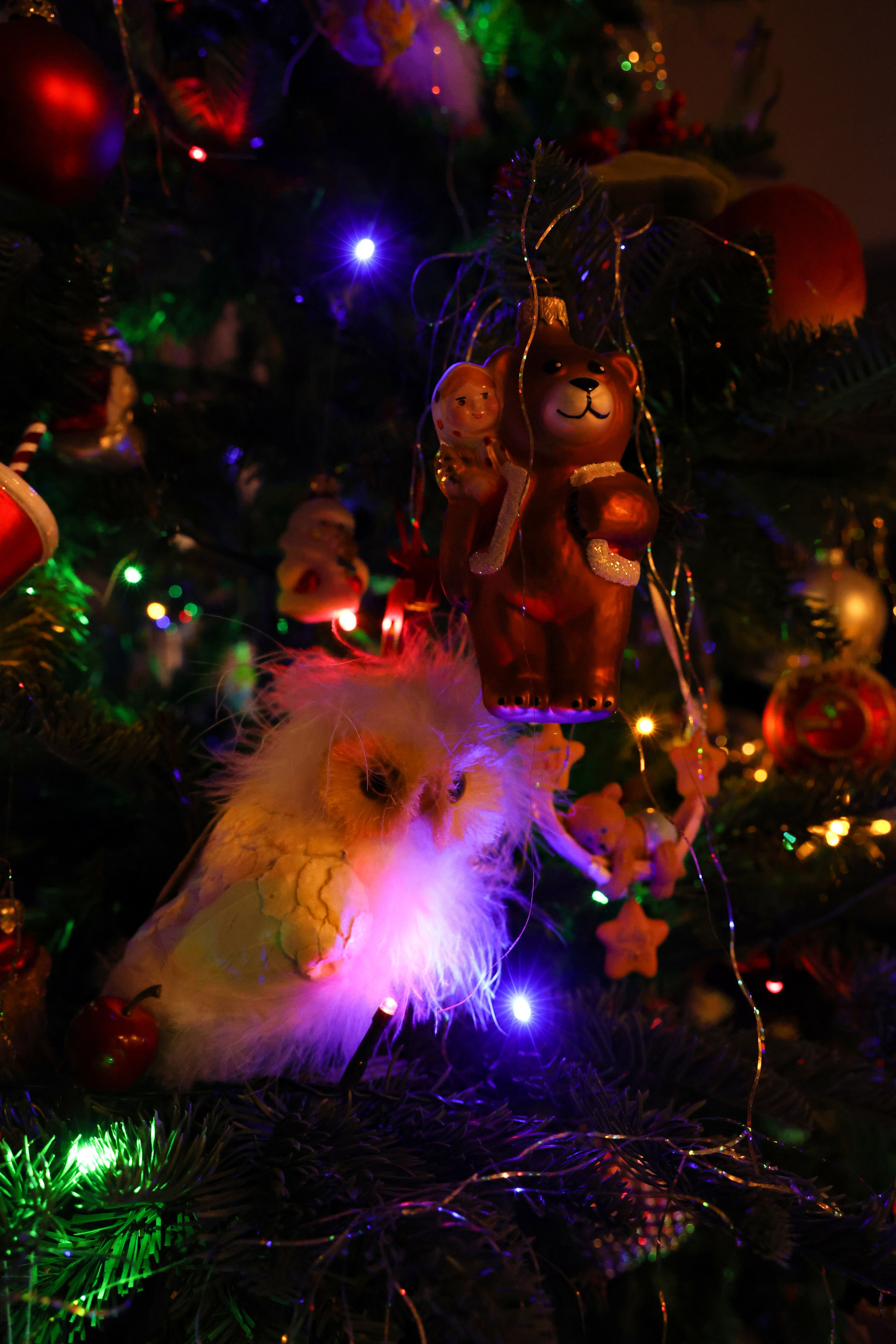 Christmas tree. Portrait photographer based in Toronto — Blinova Mariia